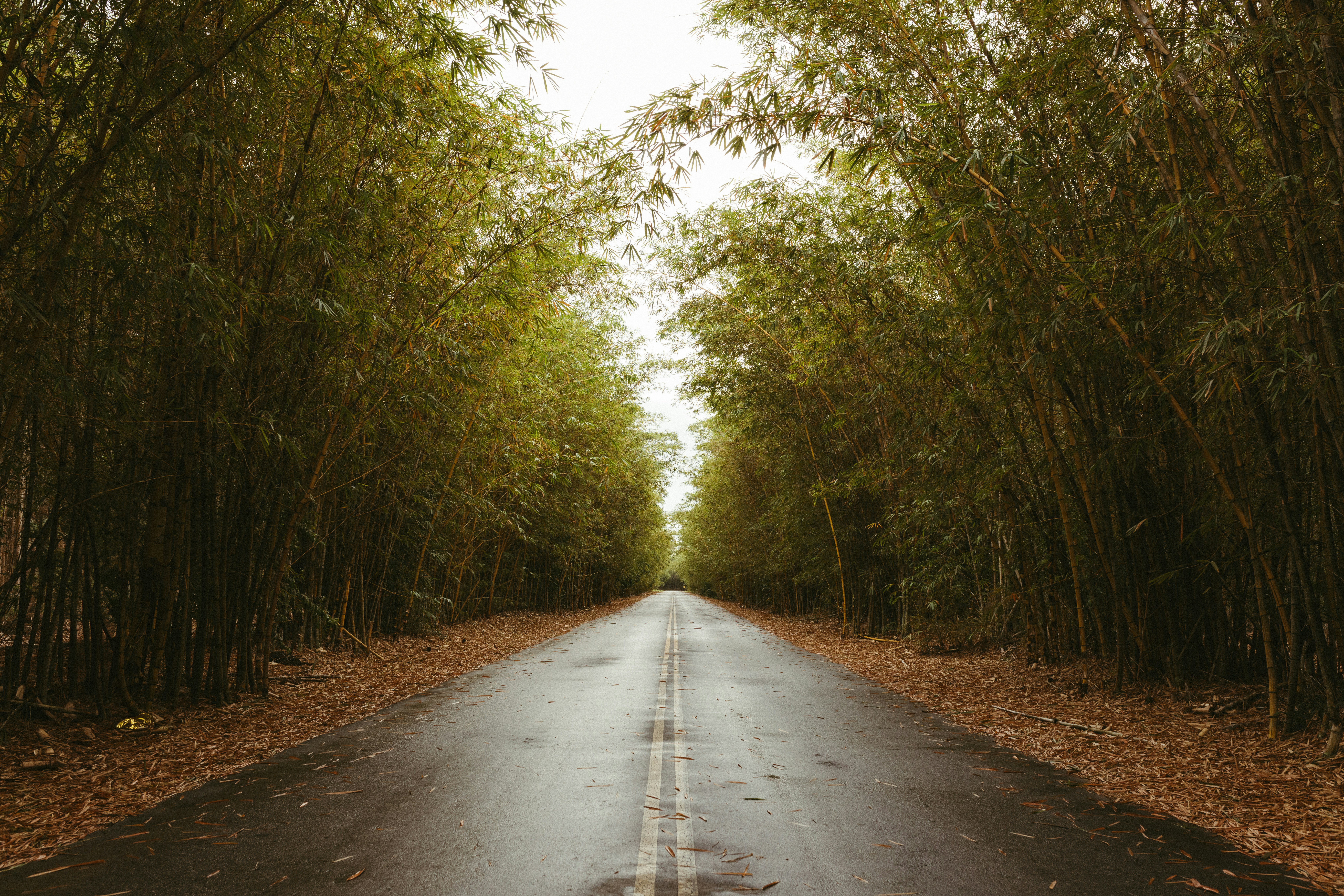 Photo by jonathanborba