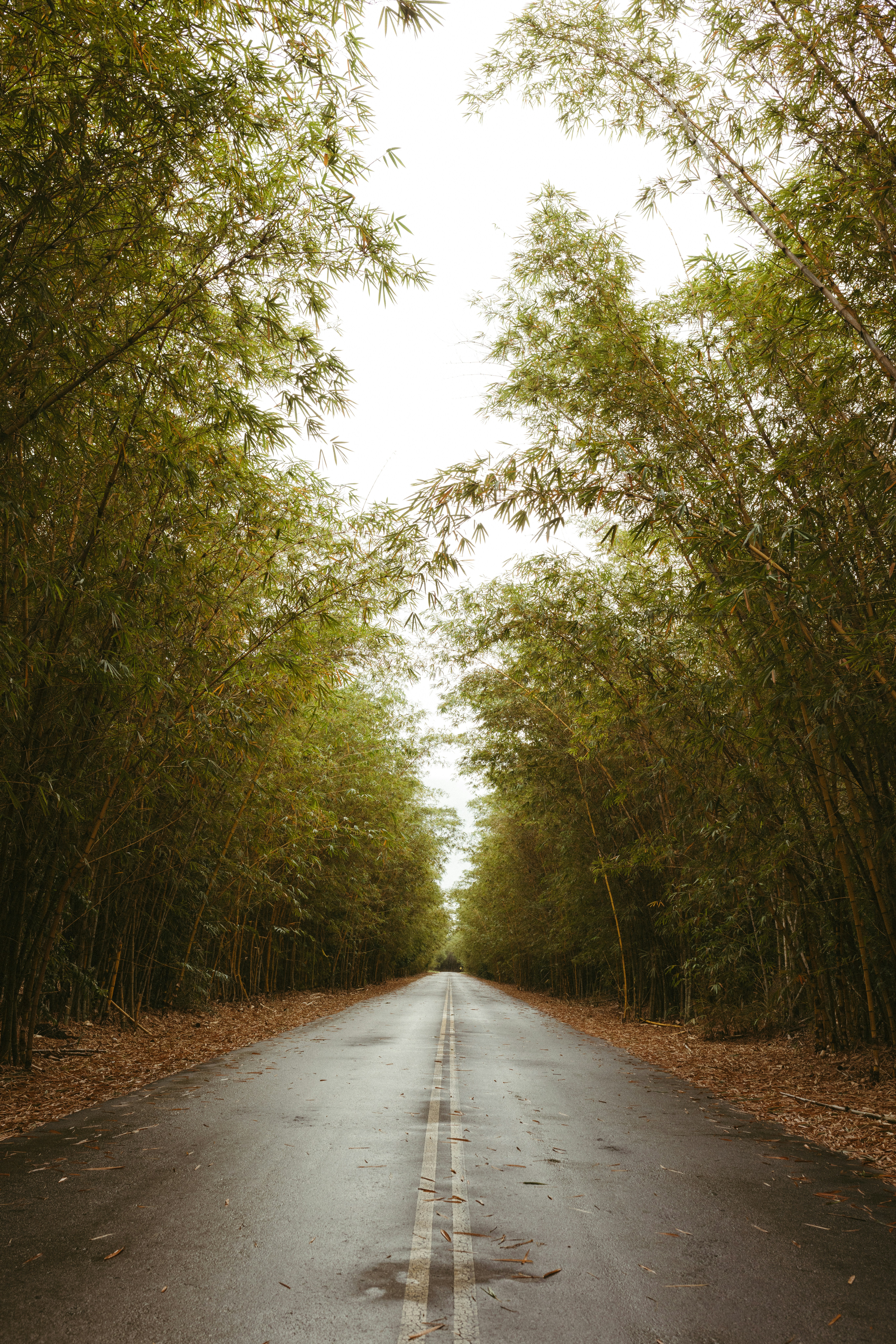 Why Quantum Mechanics Limits How Small Computer Chips Can Get