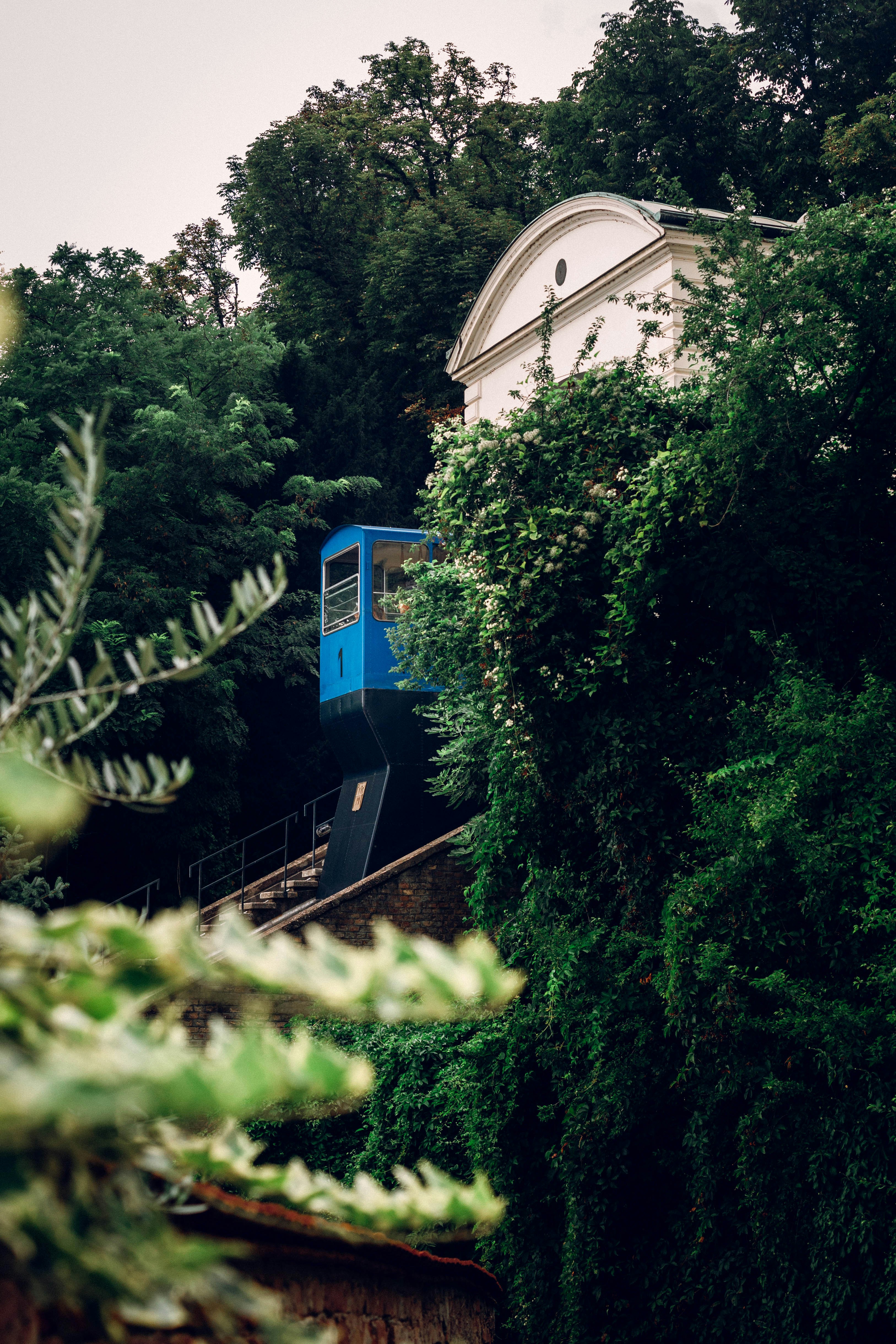 A blue train traveling through a lush green forest