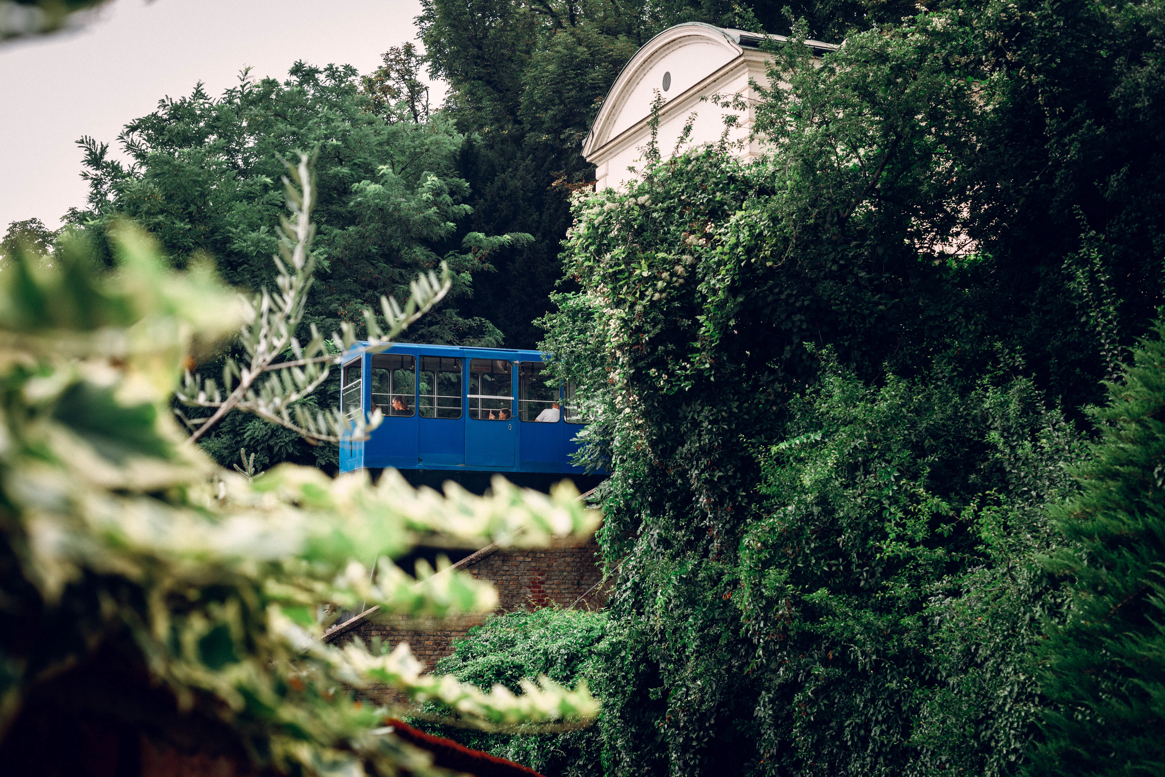 A blue funicular tram car glimpsed through lush green branches and leaves.