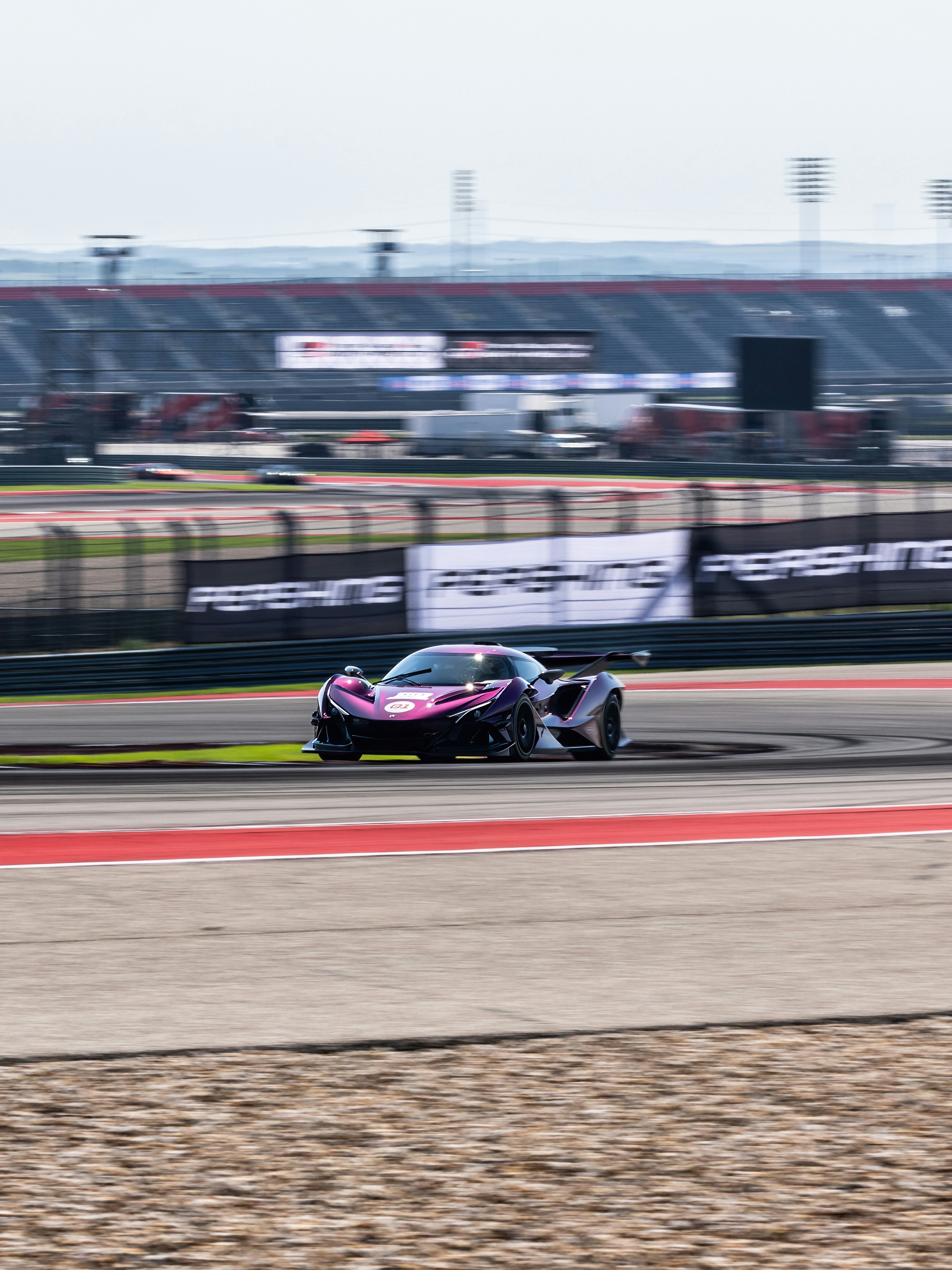 Photo by lonestarexotic