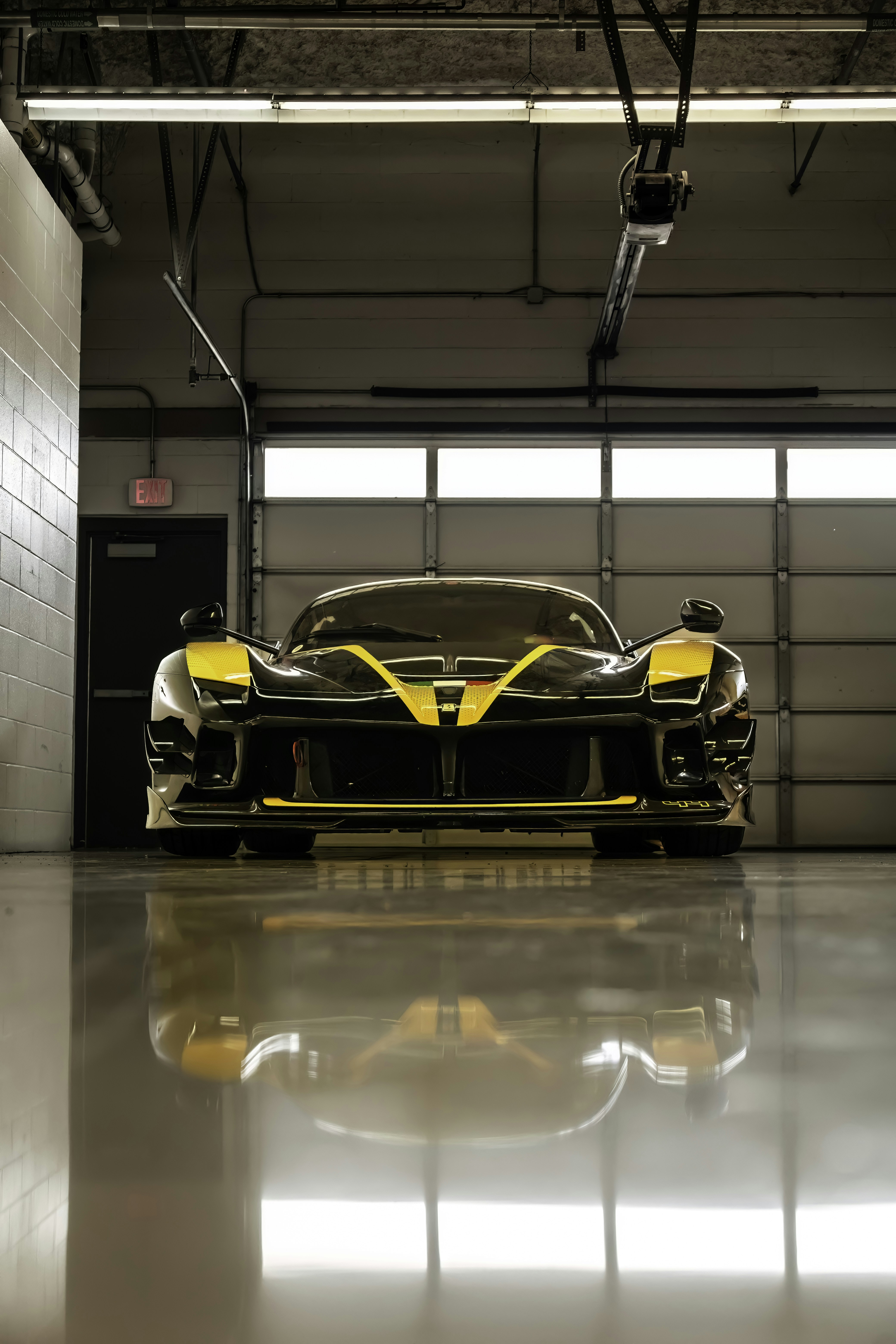 Photo by lonestarexotic