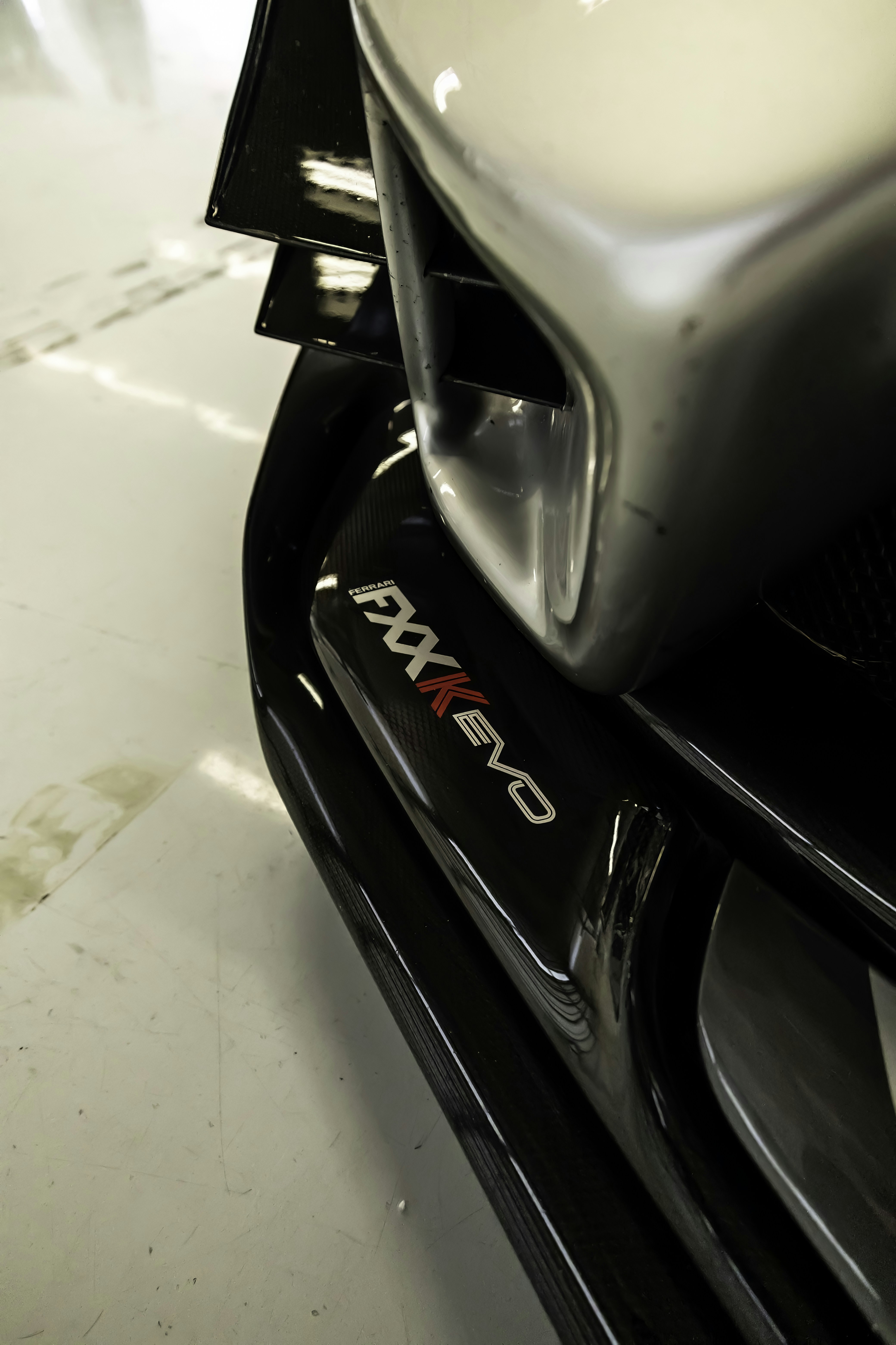 Photo by lonestarexotic