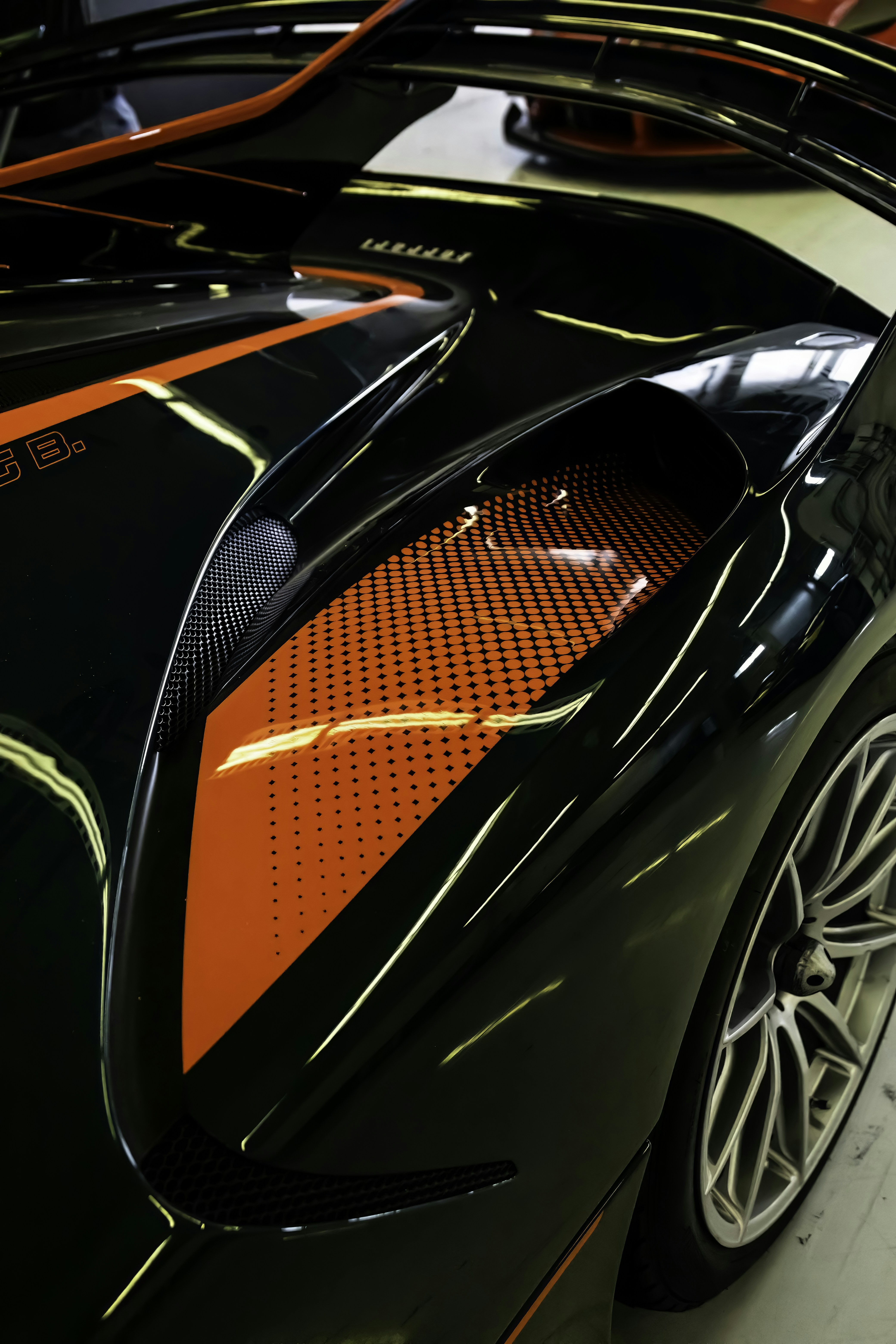 Photo by lonestarexotic