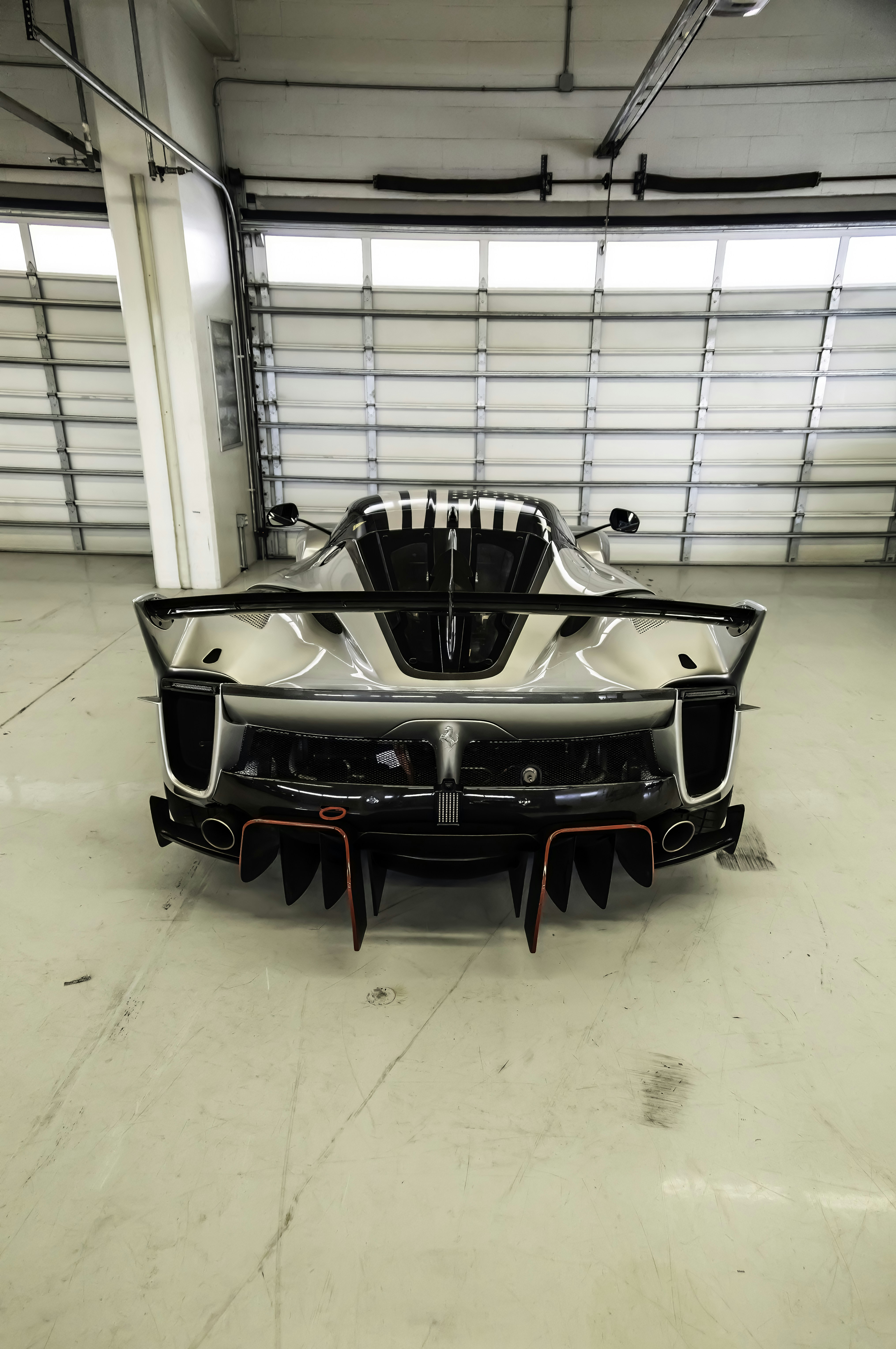 Photo by lonestarexotic