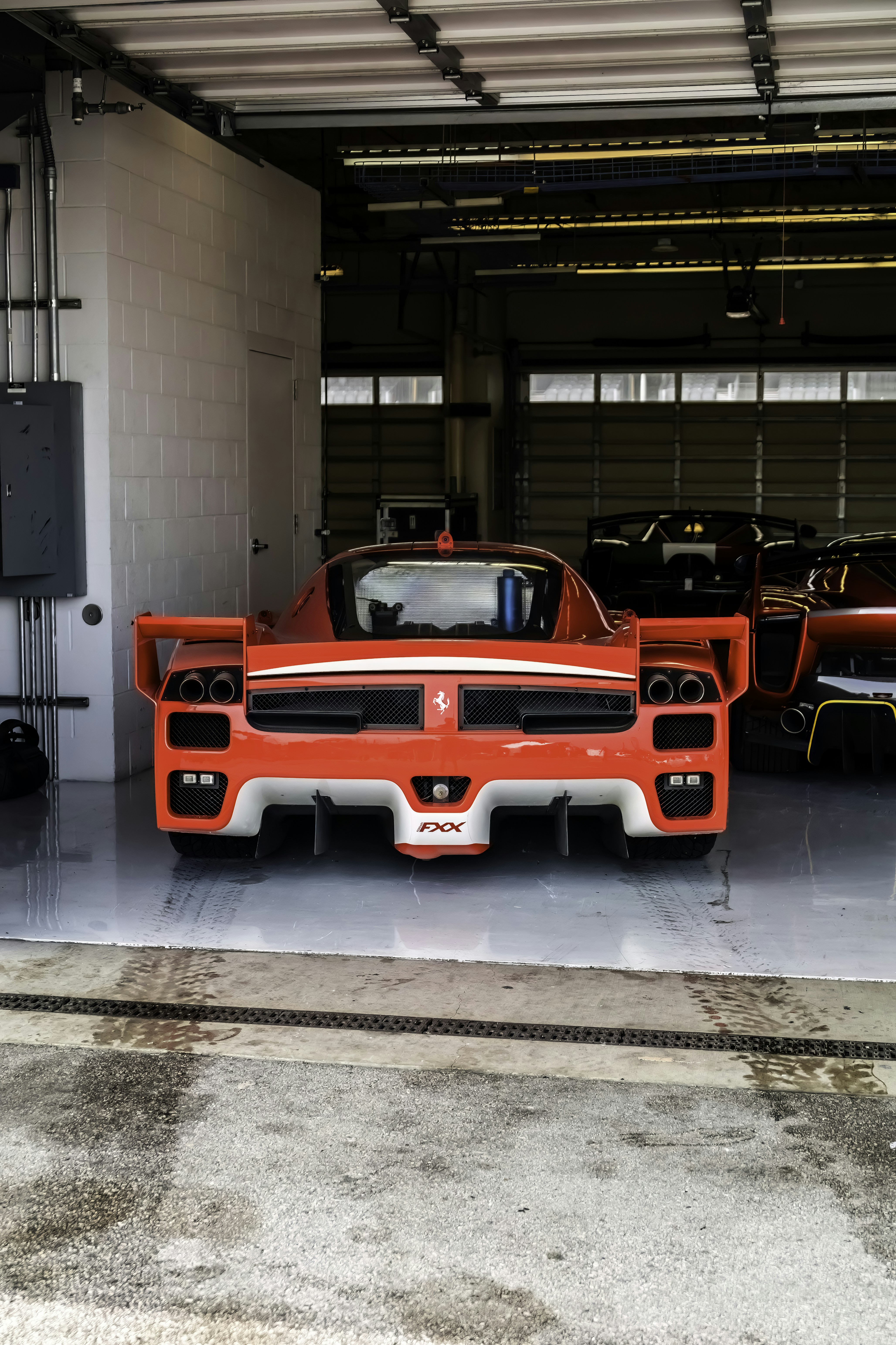 Photo by lonestarexotic