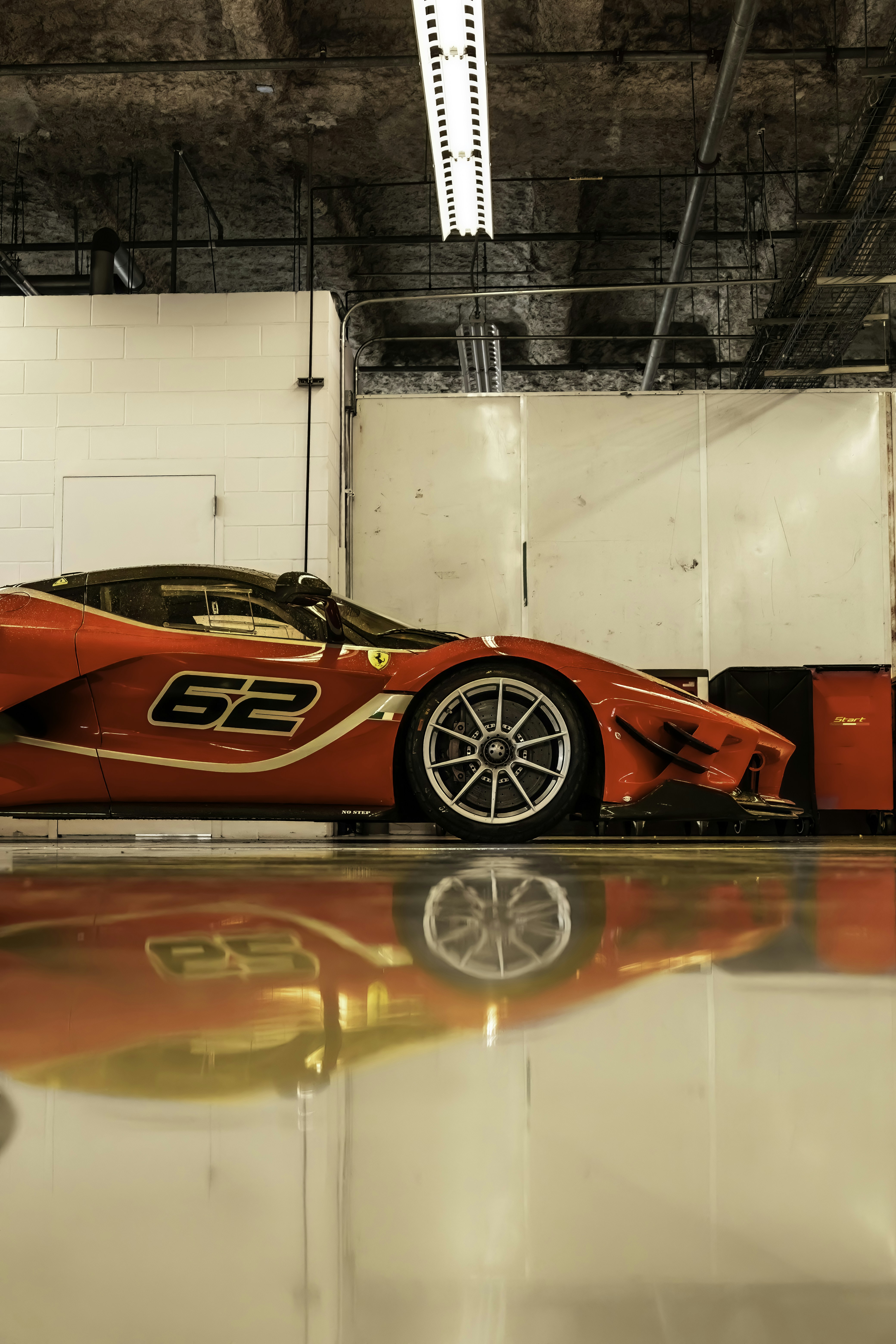 Photo by lonestarexotic