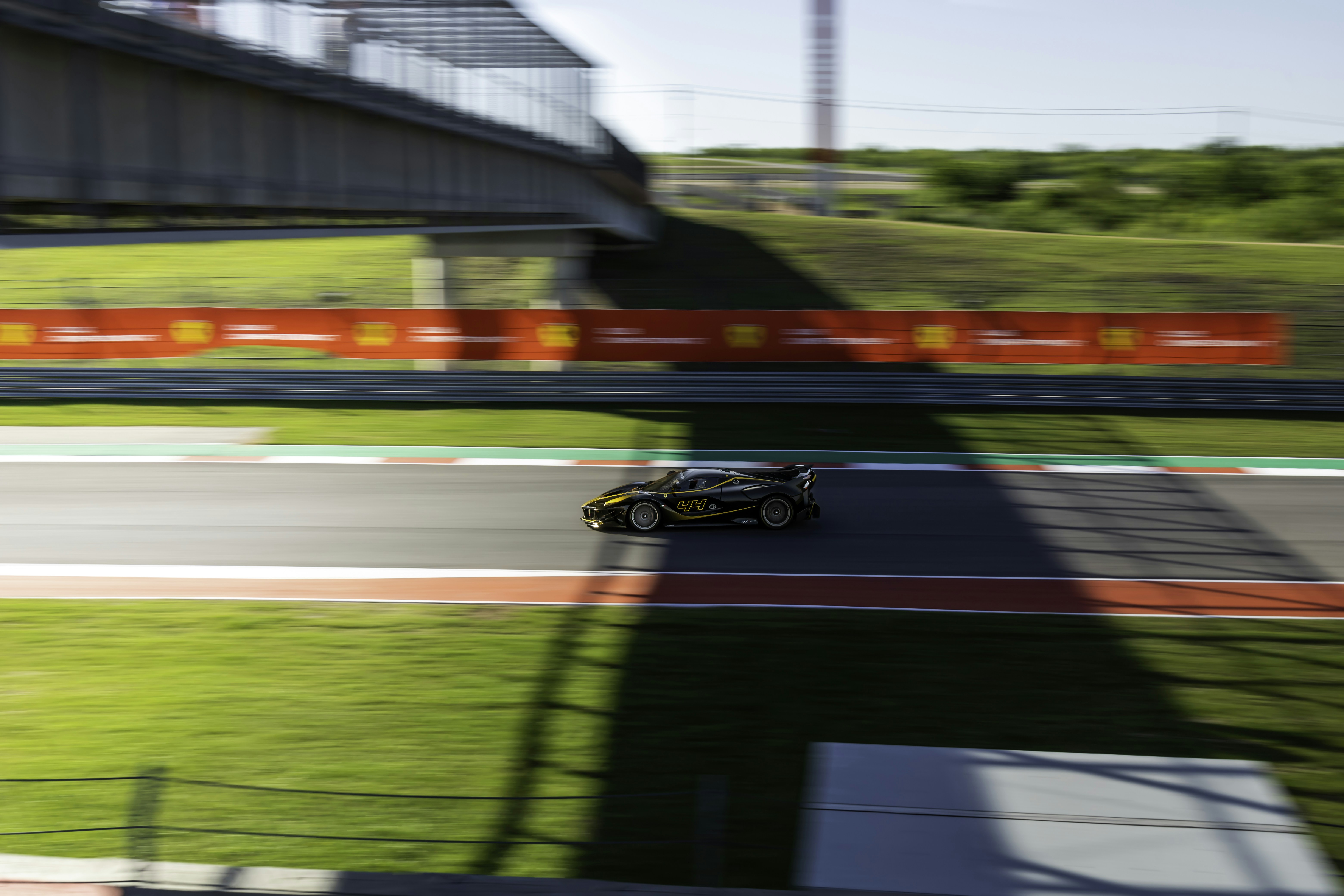 Photo by lonestarexotic