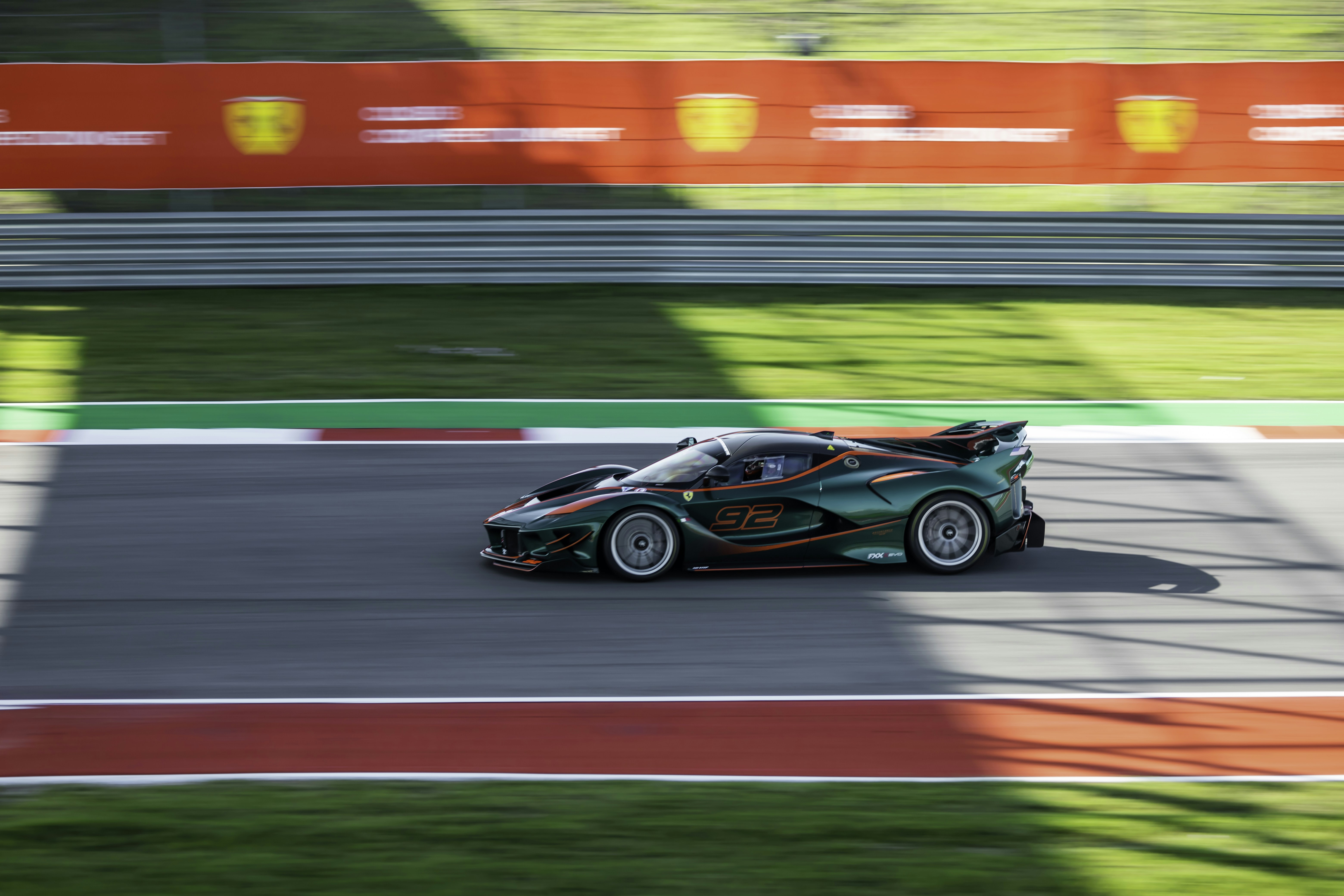 Photo by lonestarexotic