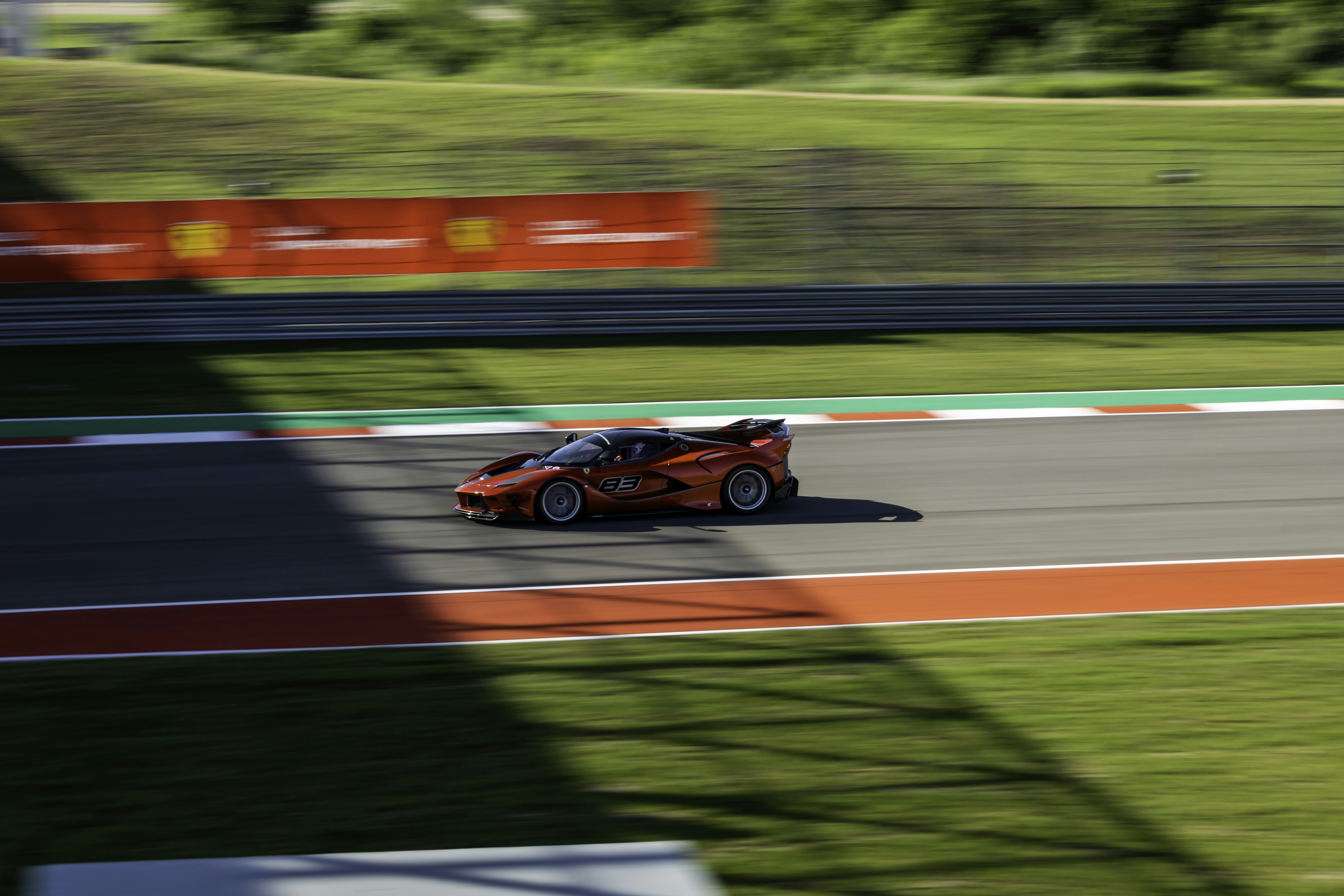 Photo by lonestarexotic