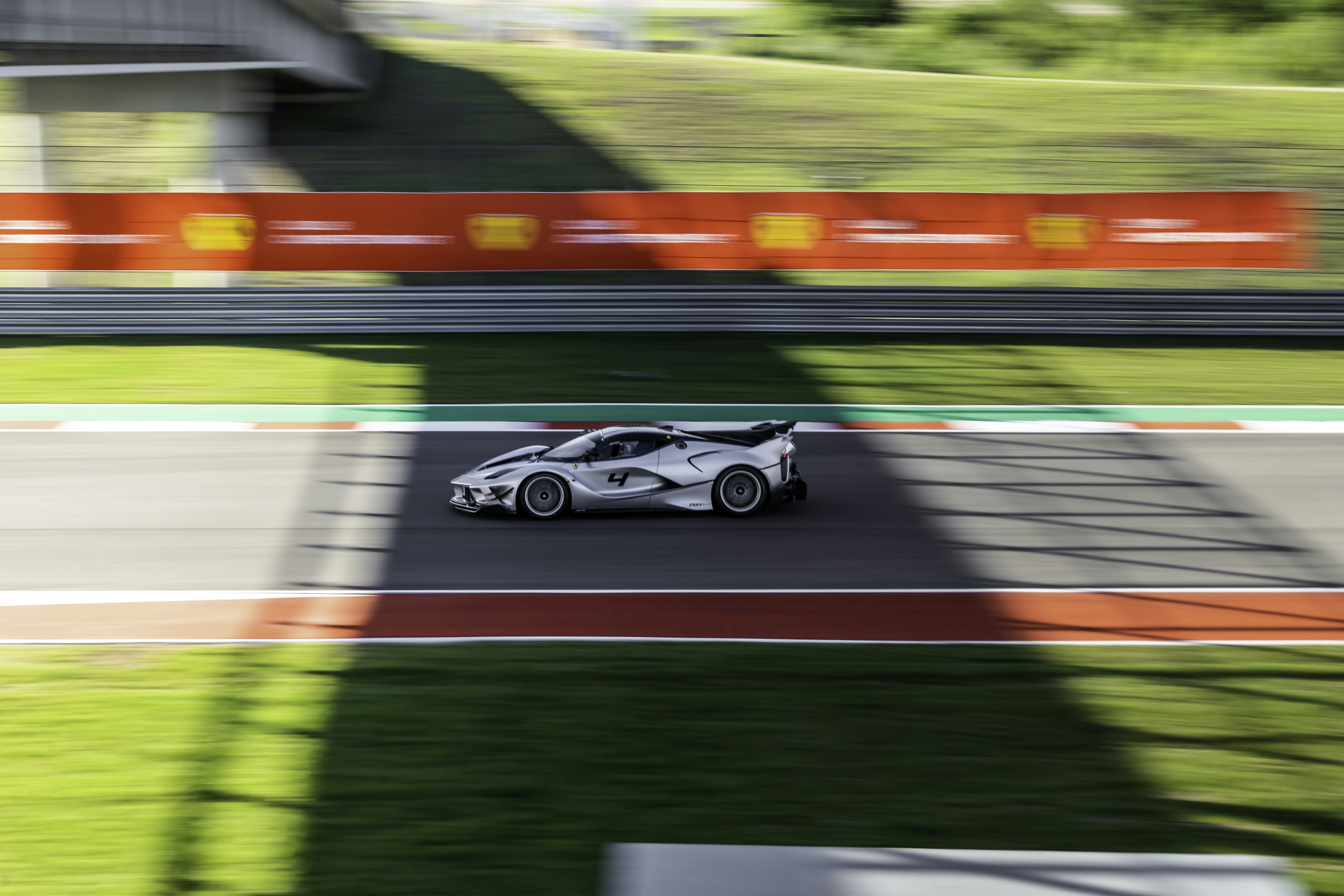 Photo by lonestarexotic