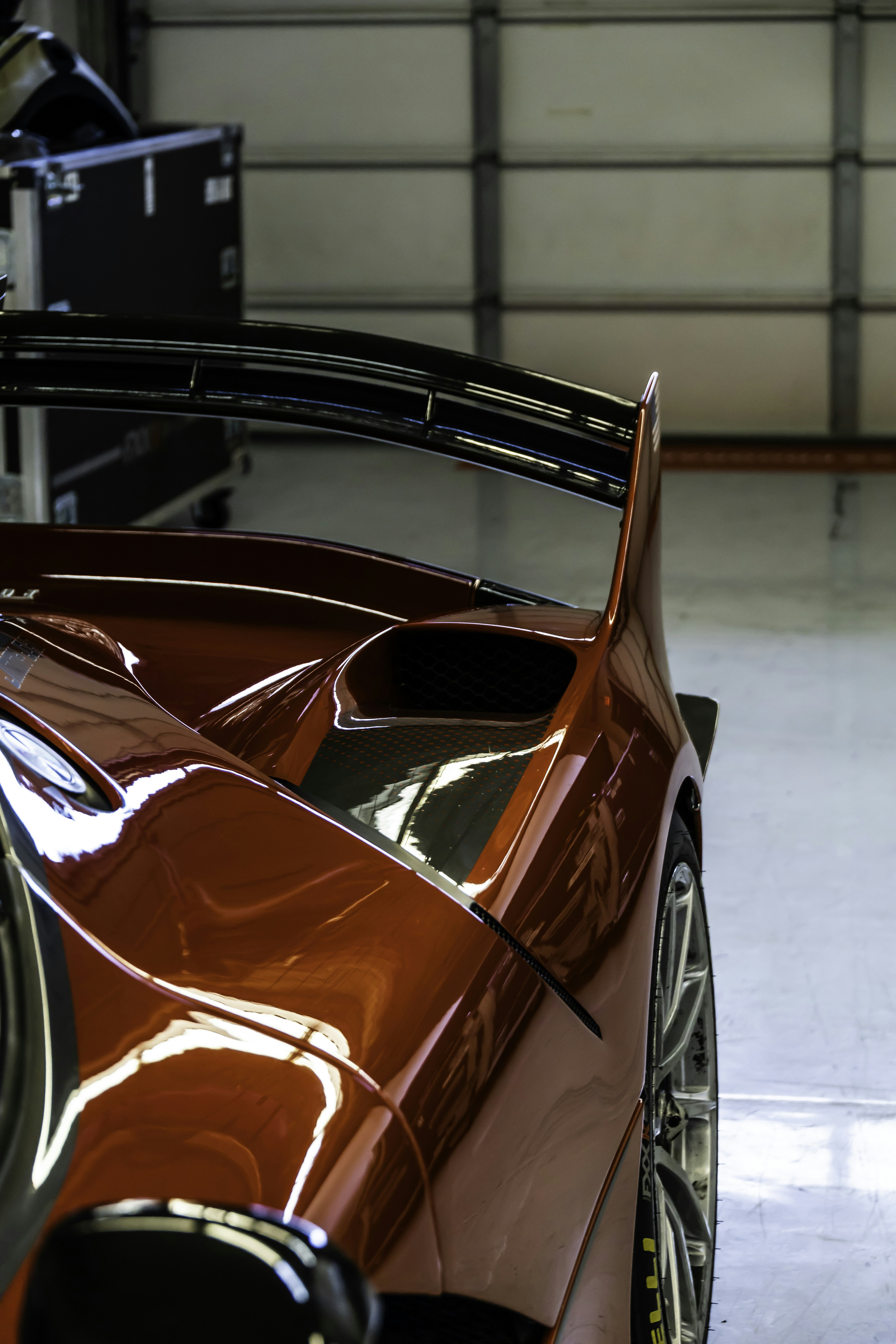 Photo by lonestarexotic