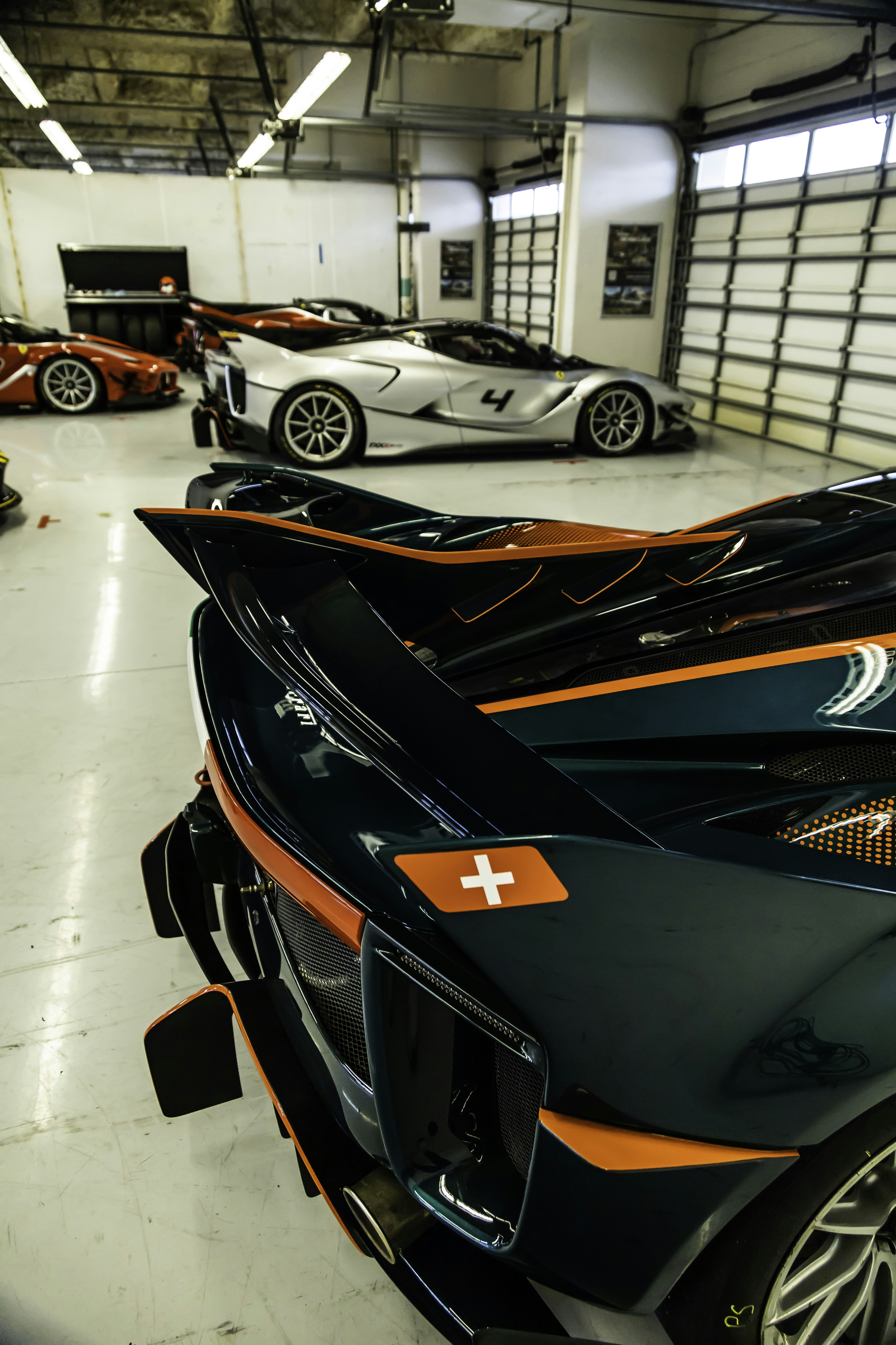 Photo by lonestarexotic