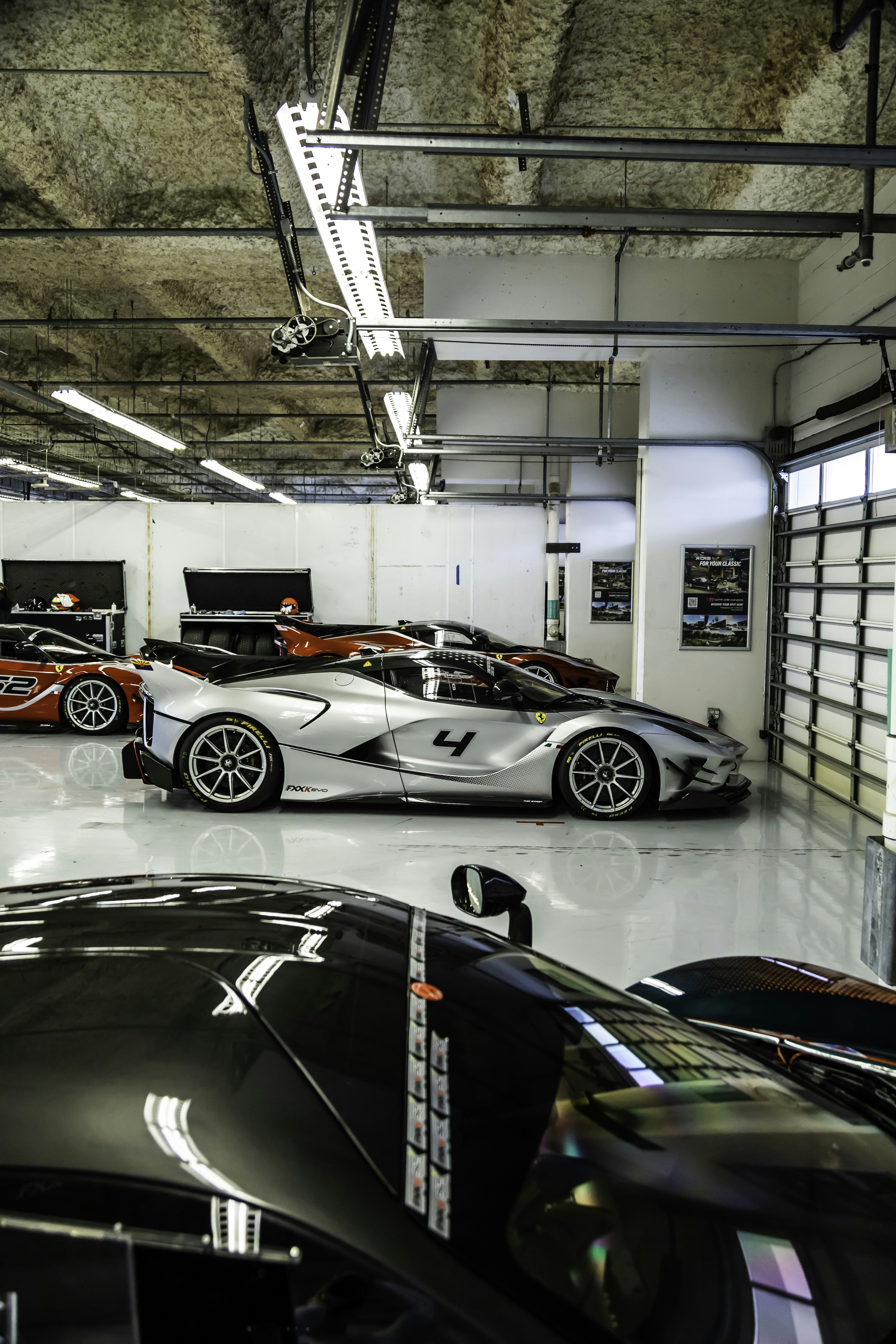 Photo by lonestarexotic