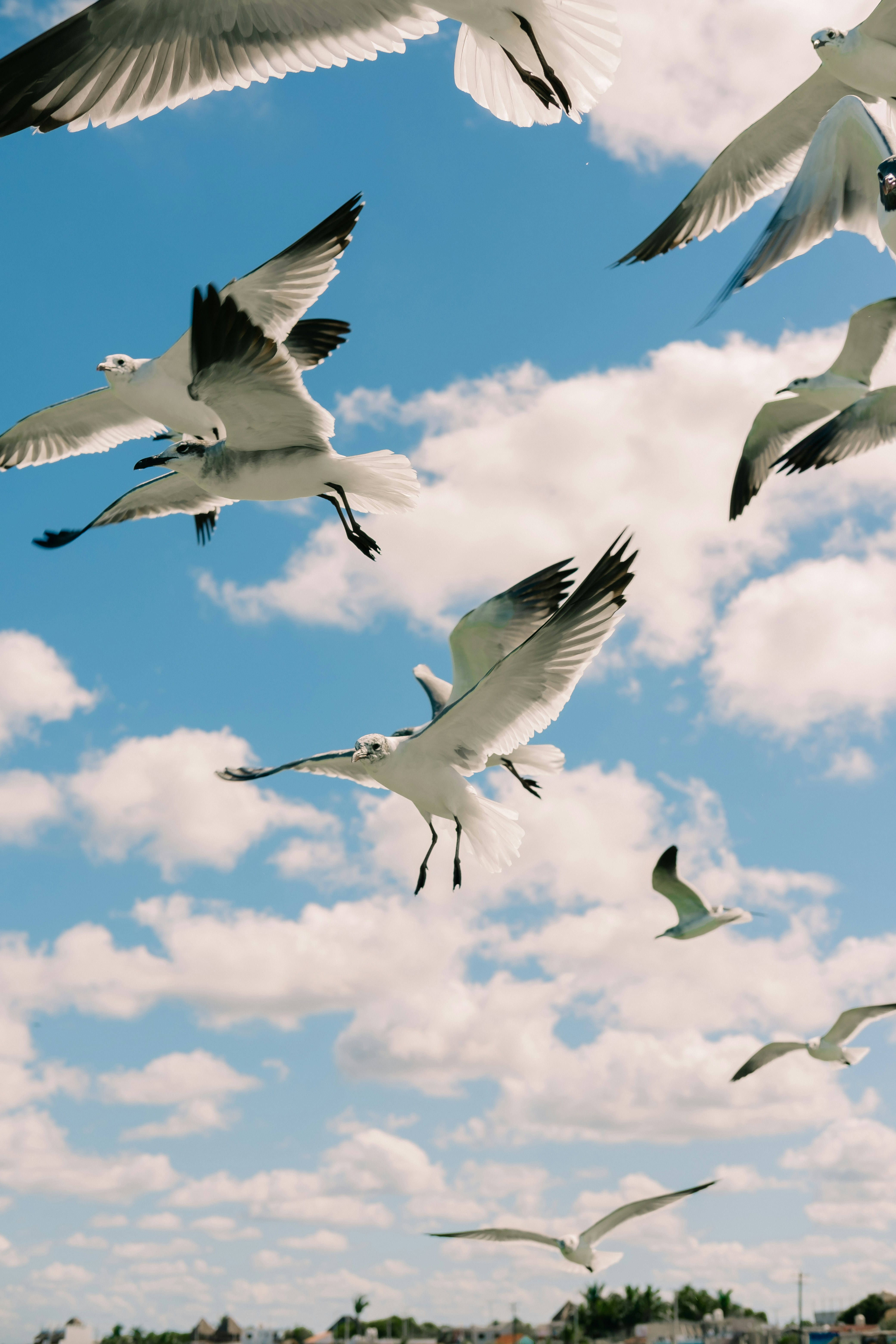 Photo by davidvillasana