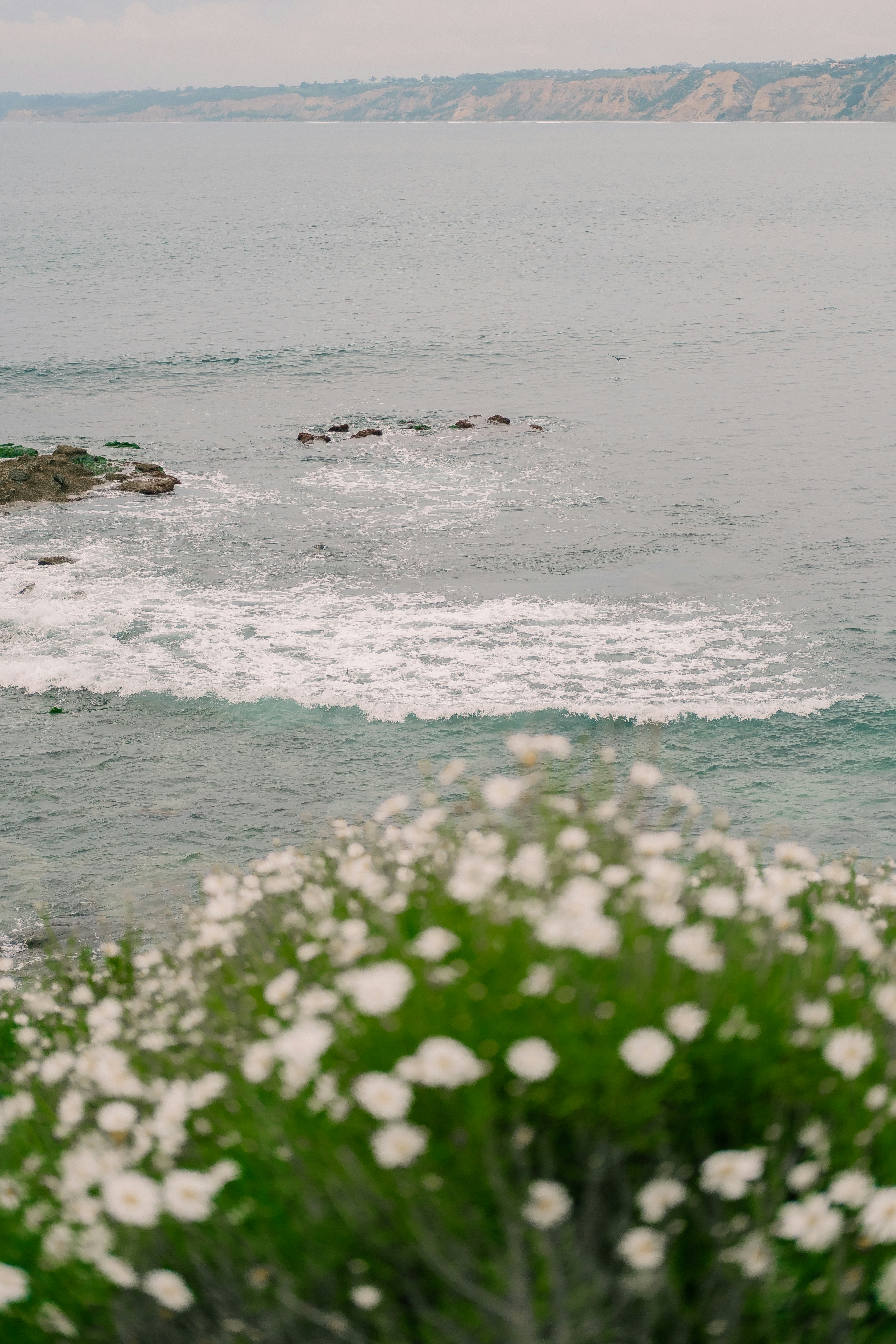 Photo by davidvillasana