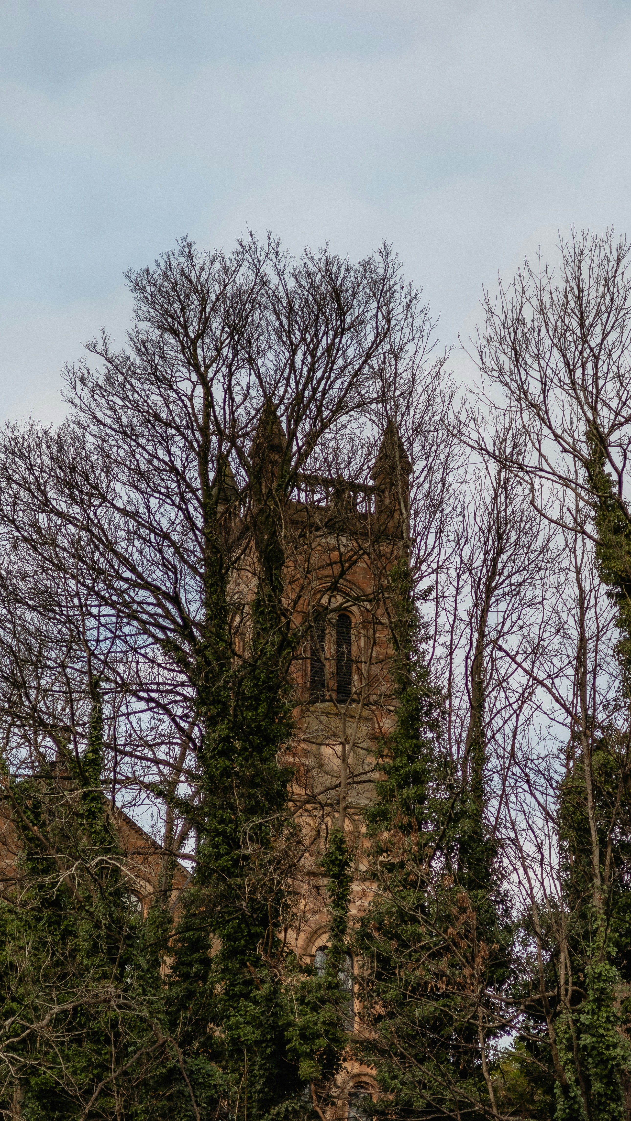 Photo by davidvillasana