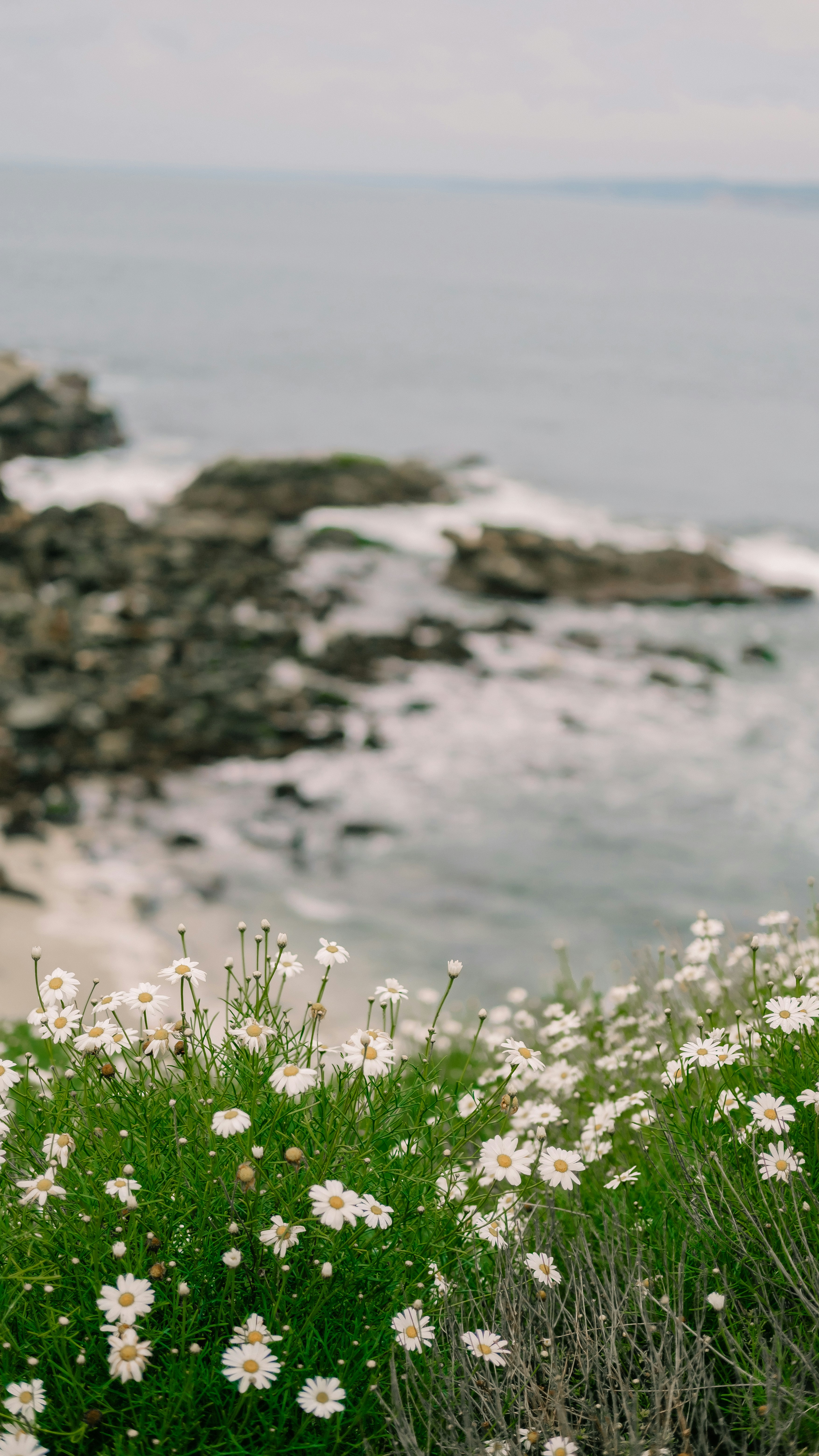 Photo by davidvillasana