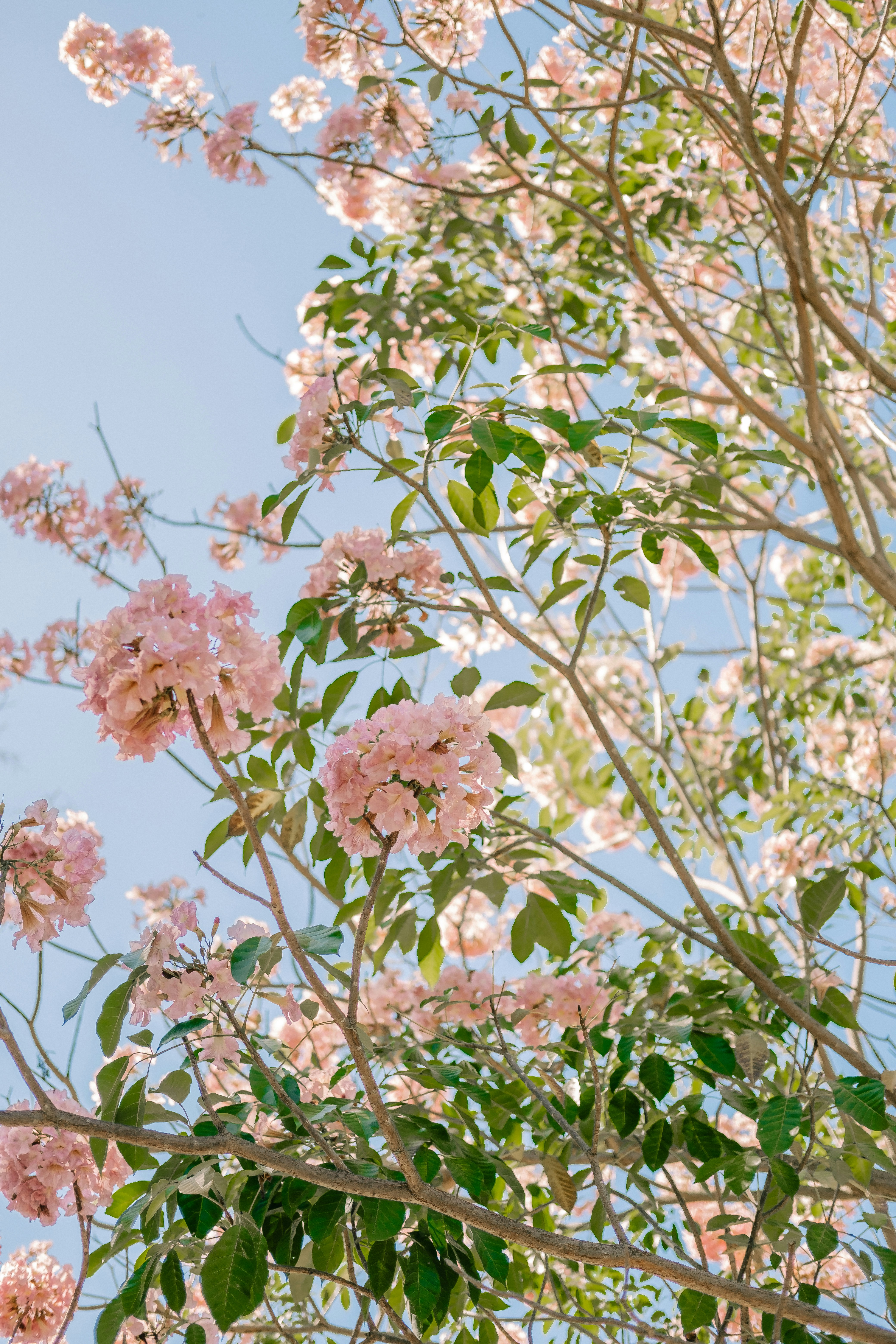 Photo by davidvillasana