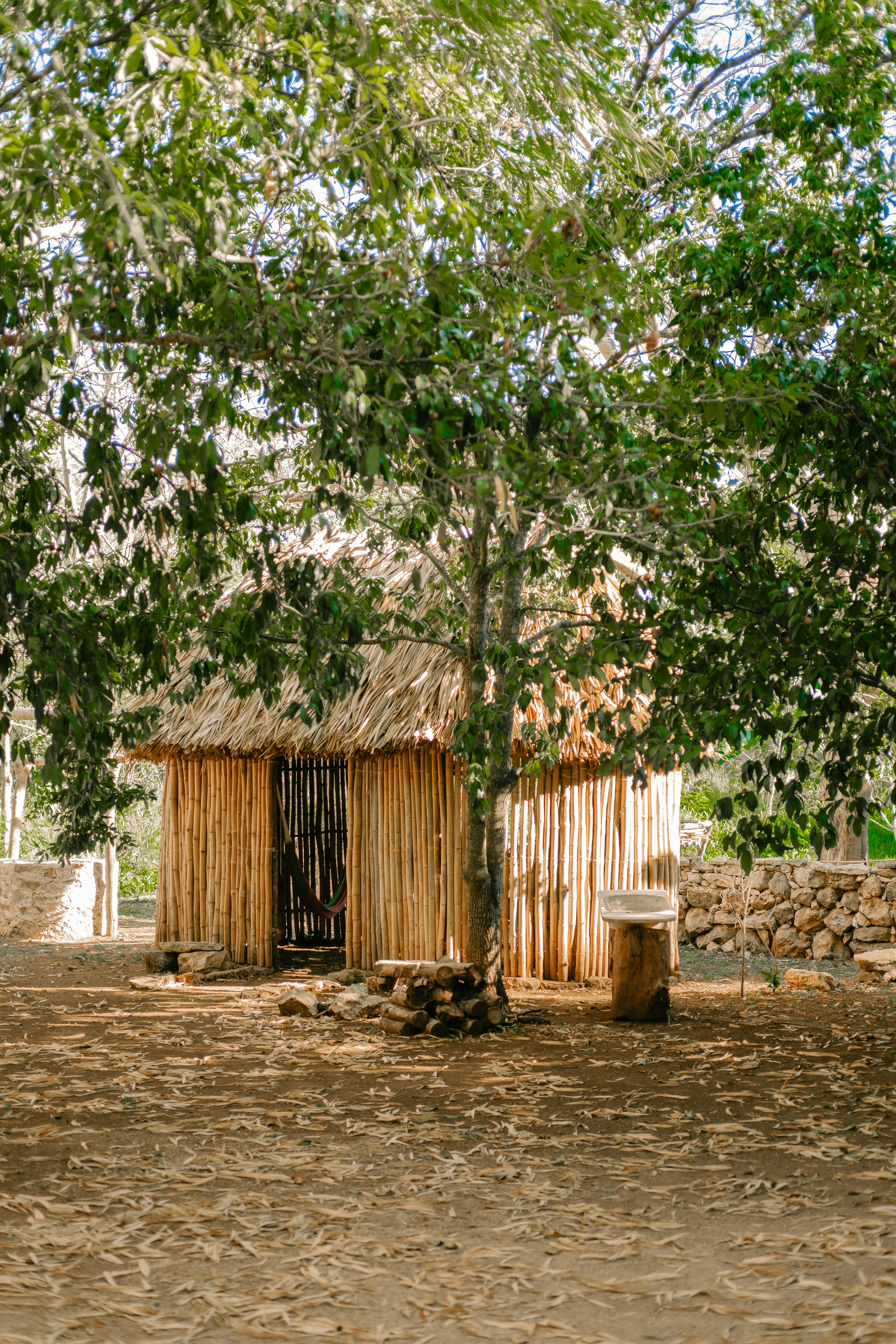 Photo by davidvillasana