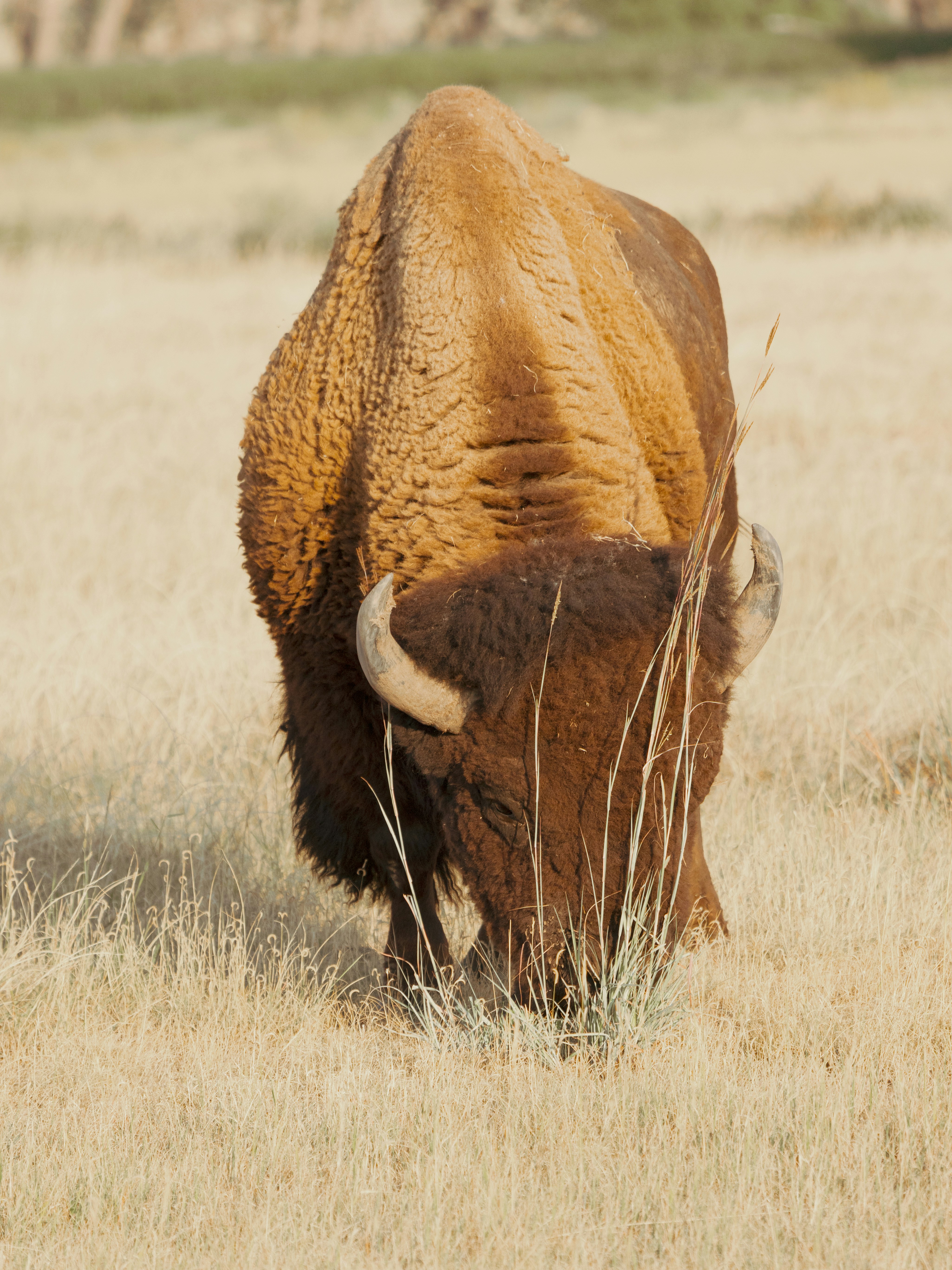 Photo by brandonstoll