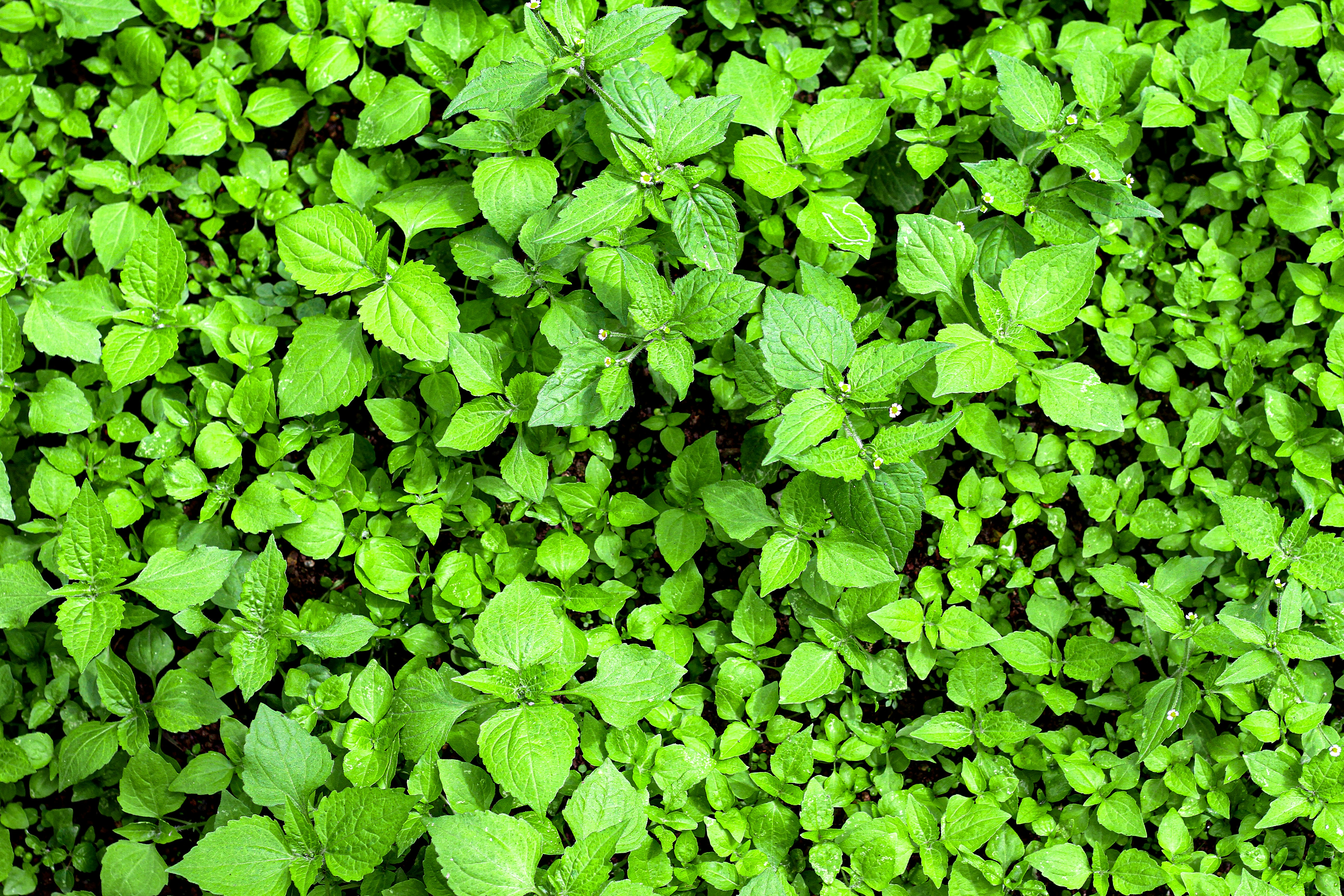 Photo by najoi_designer