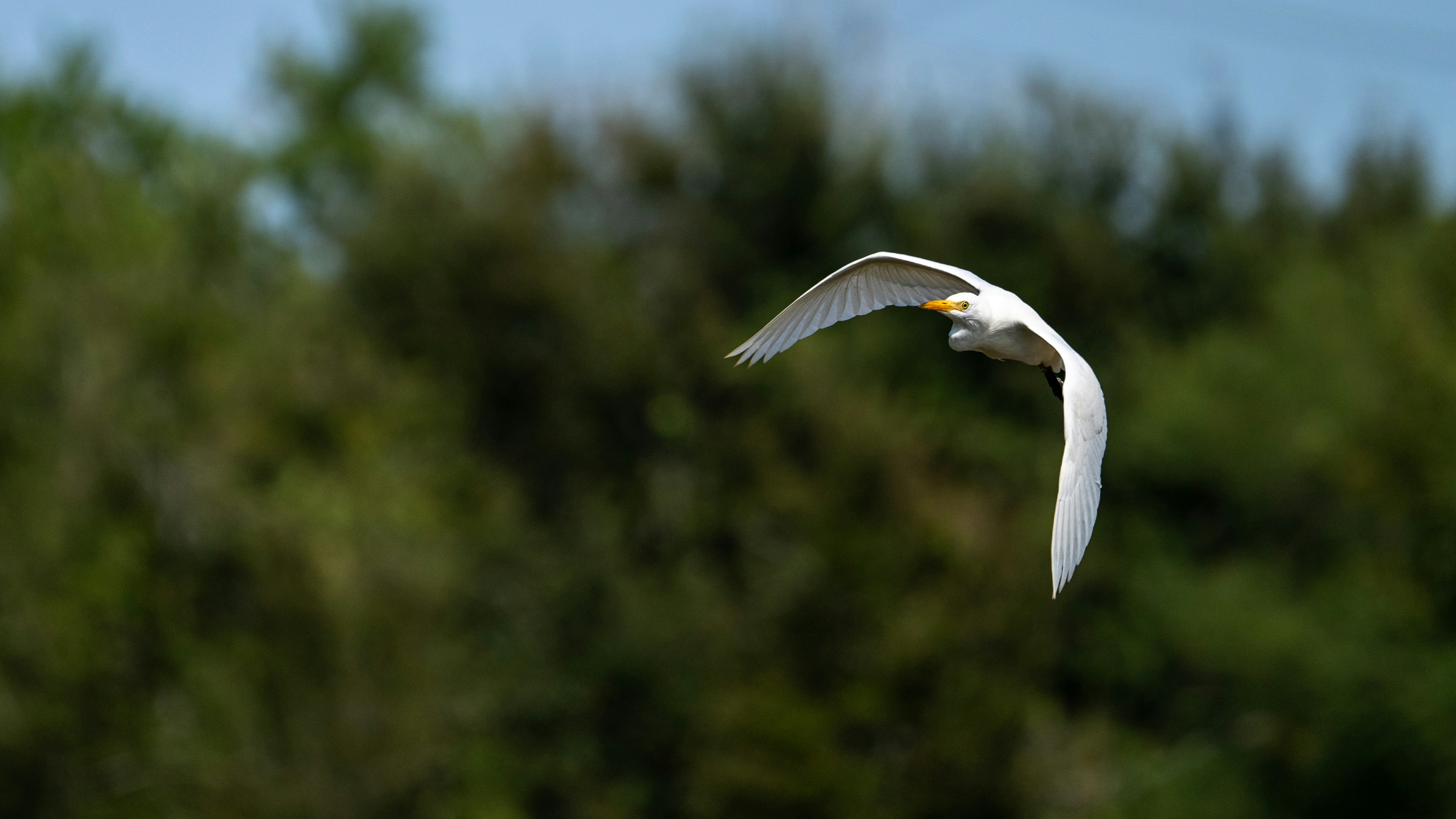 Photo by tobydagenhart