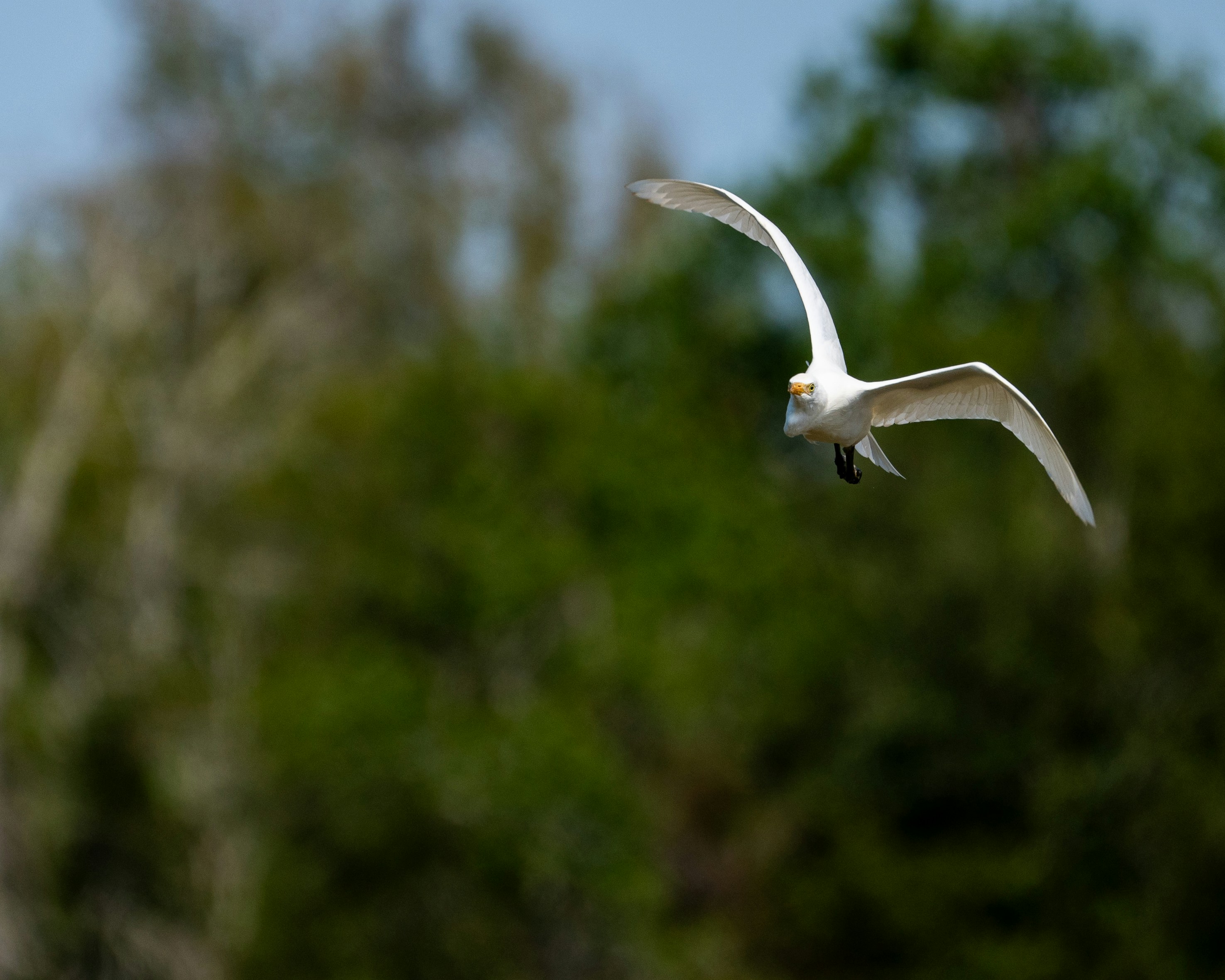 Photo by tobydagenhart