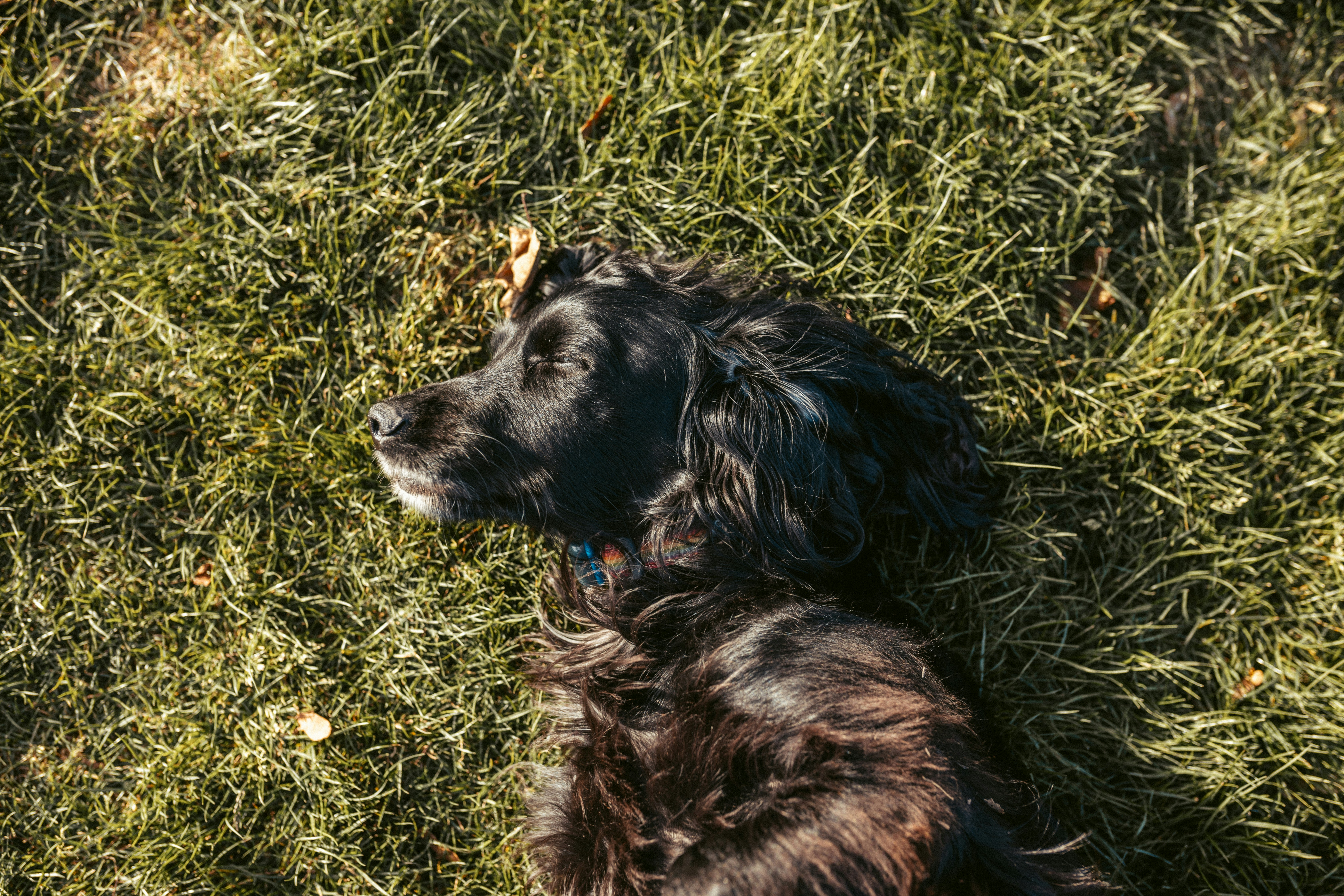 Photo by henrylloydphotography