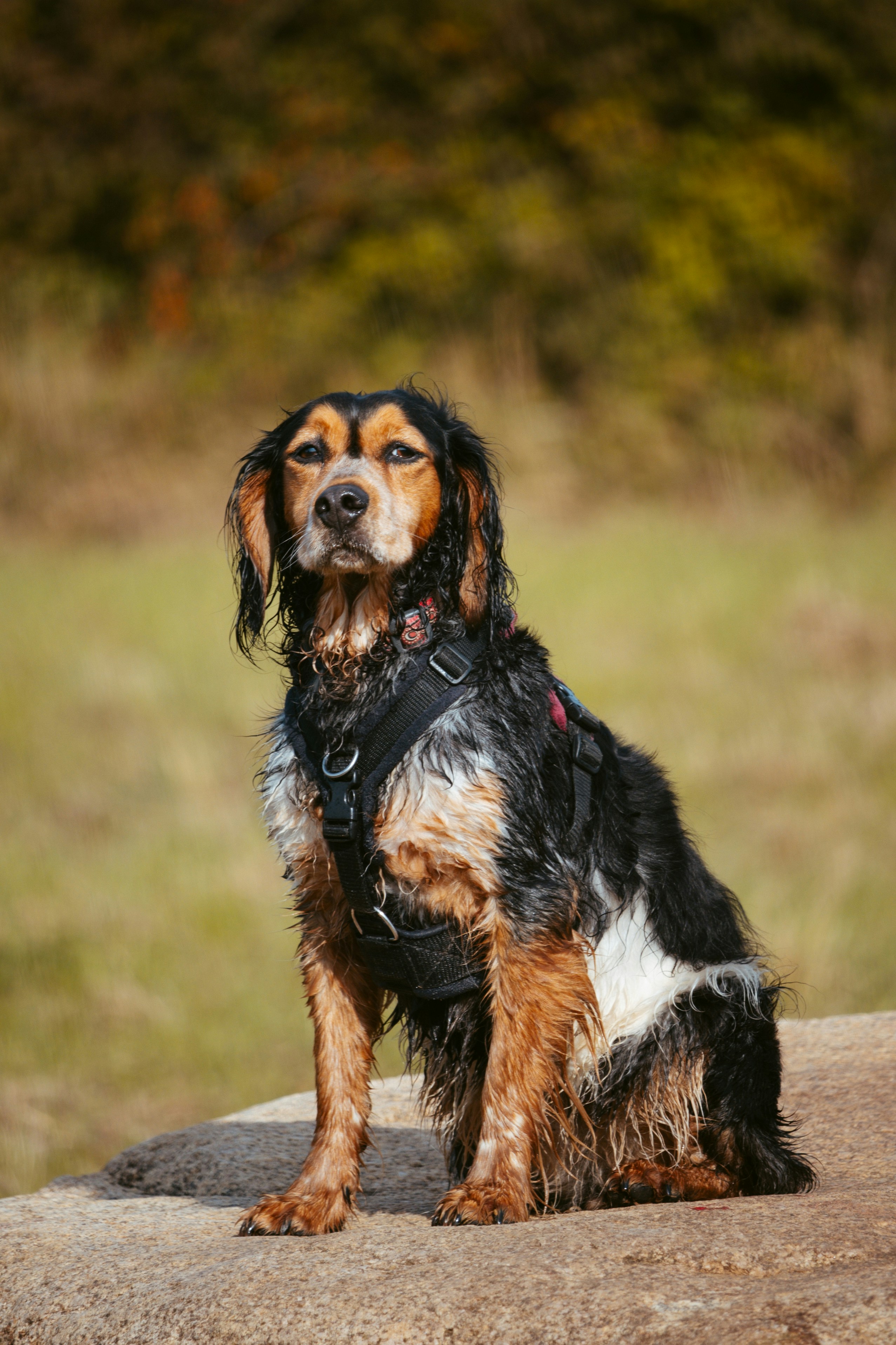 Photo by henrylloydphotography