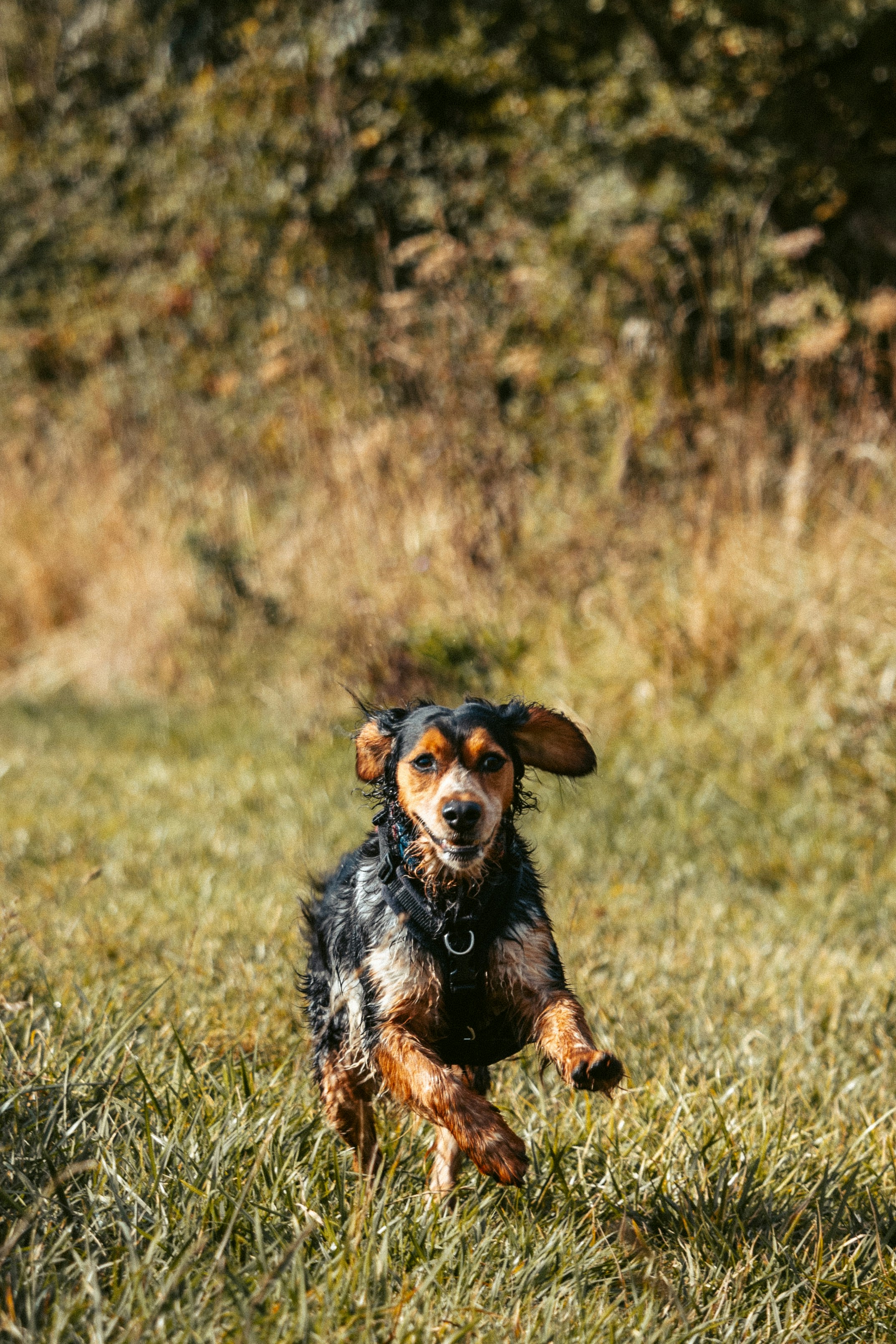 Photo by henrylloydphotography