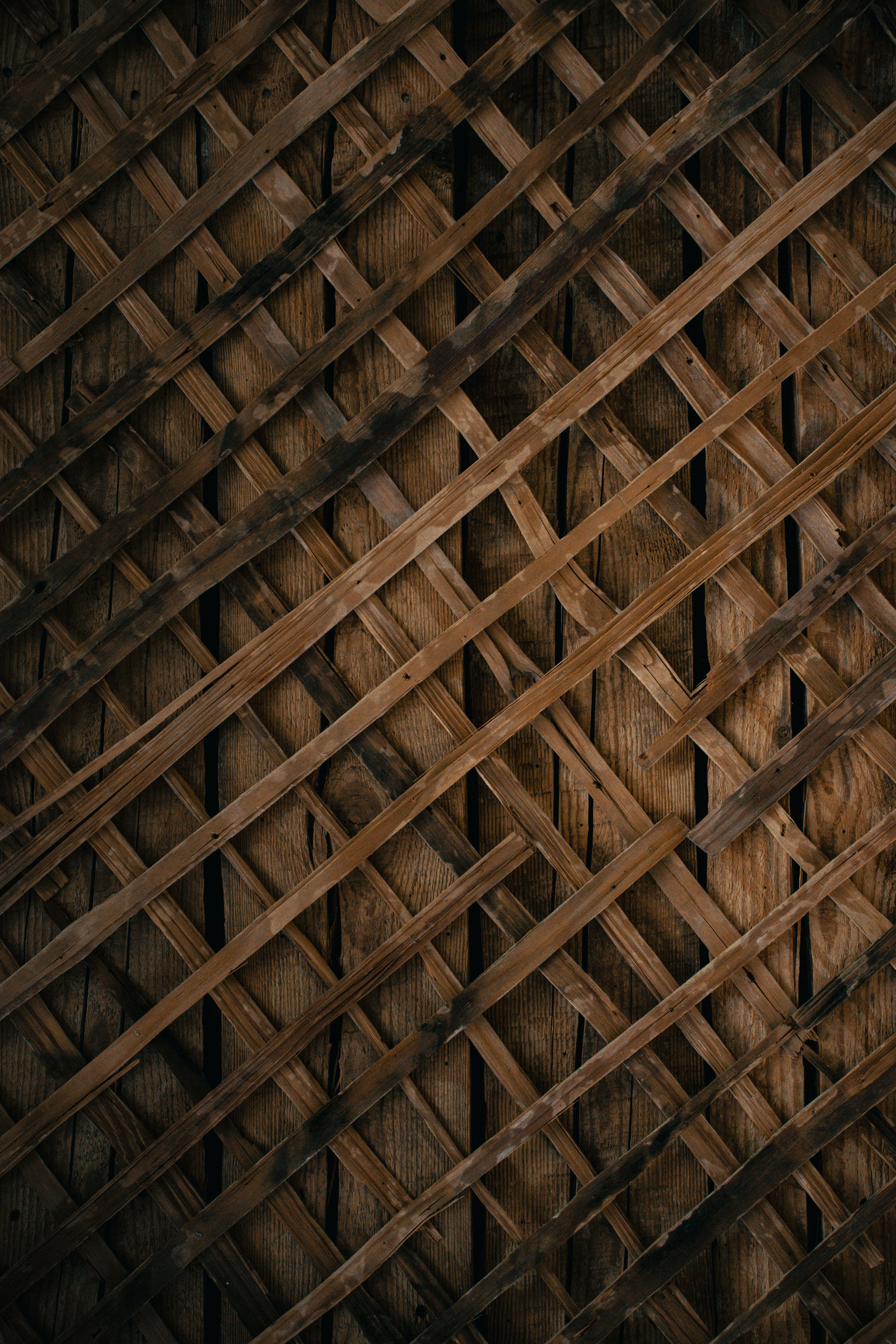 Photo by maksym_tymchyk