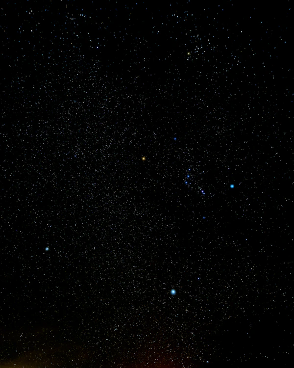 プラネタリウム・没入型シアター