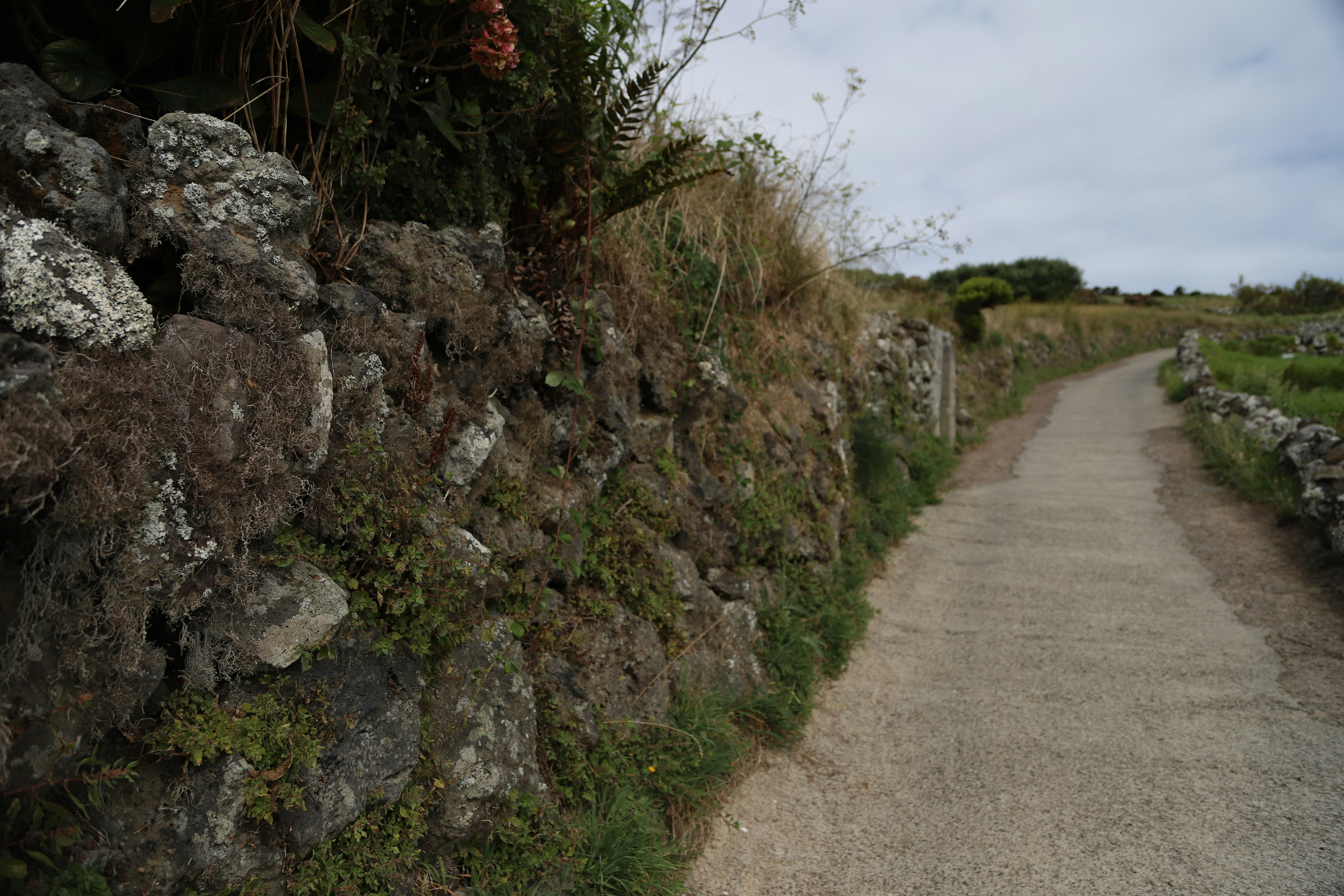 A stone wall next to a dirt road