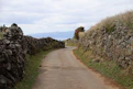 A dirt road with a stone wall next to it