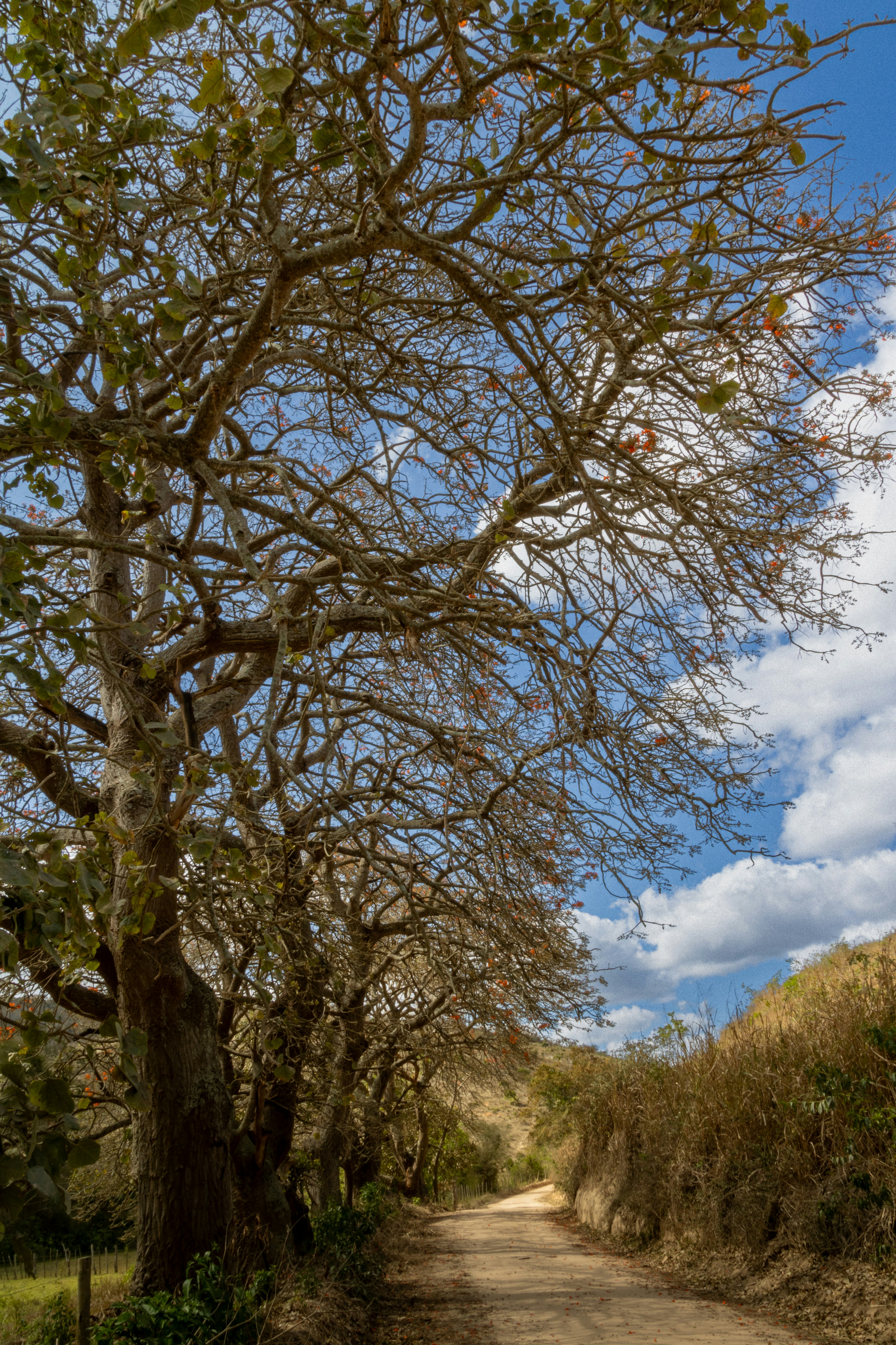 Photo by edielrangel