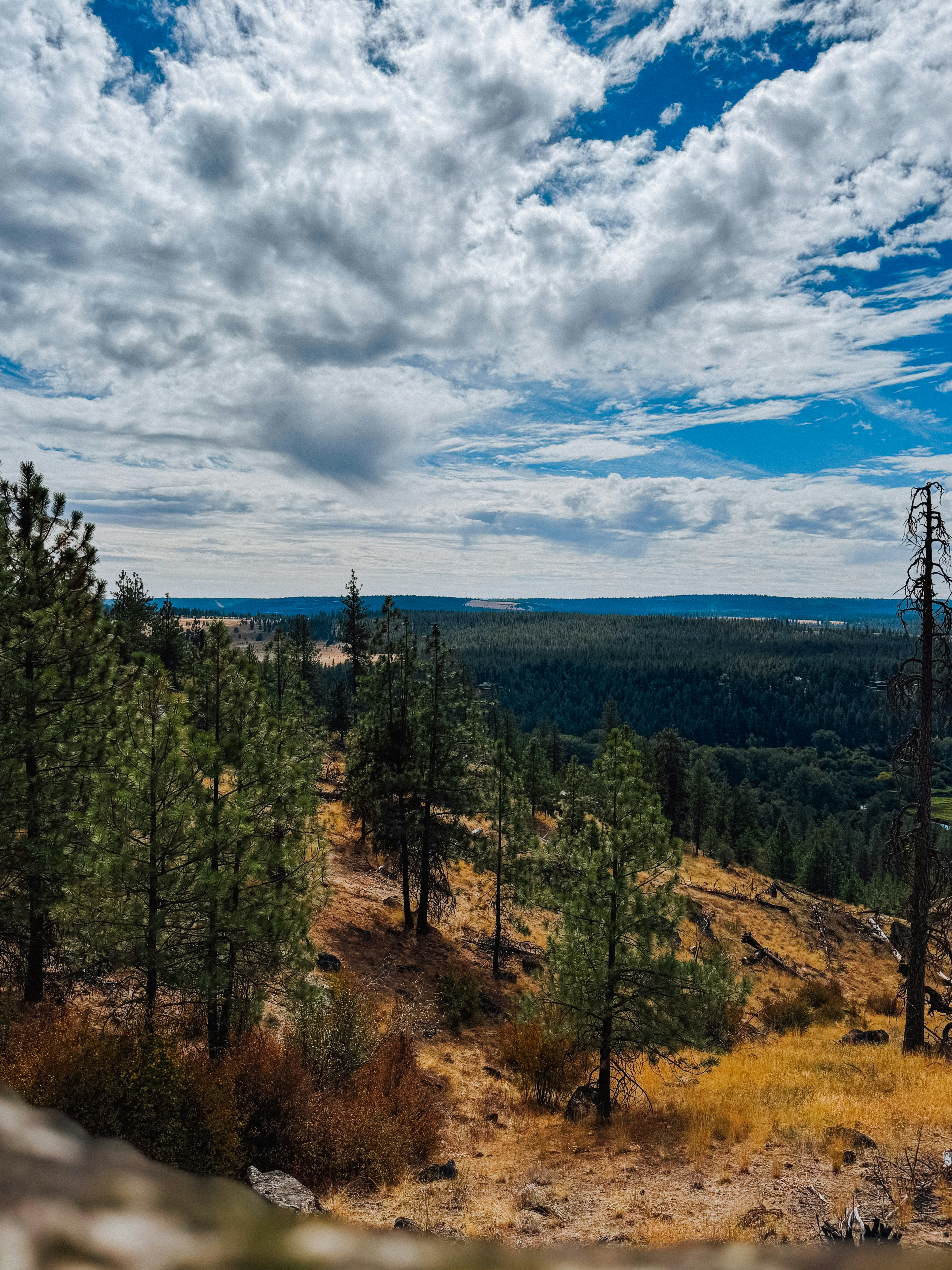 Photo by kamerondesign