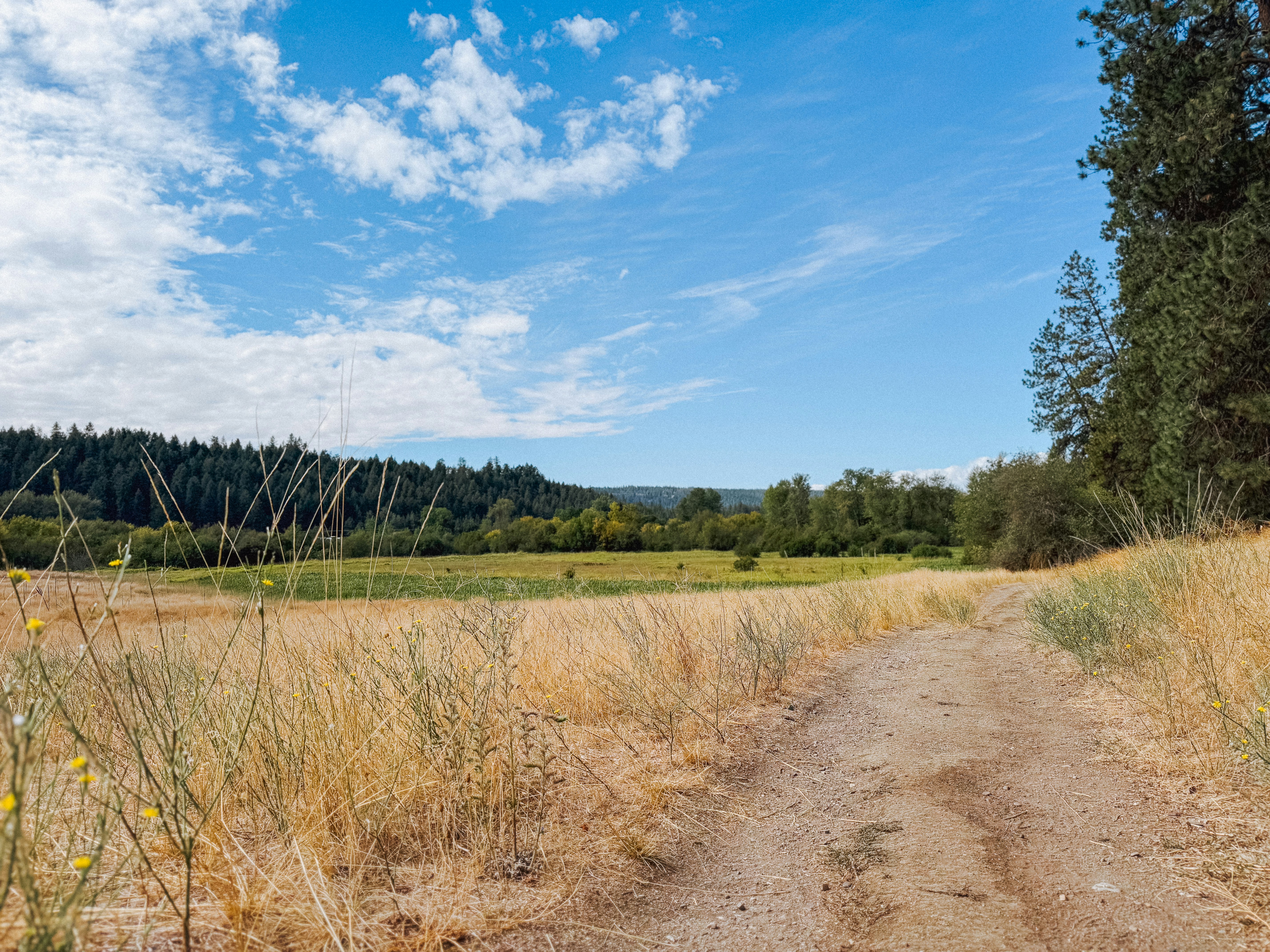 Photo by kamerondesign