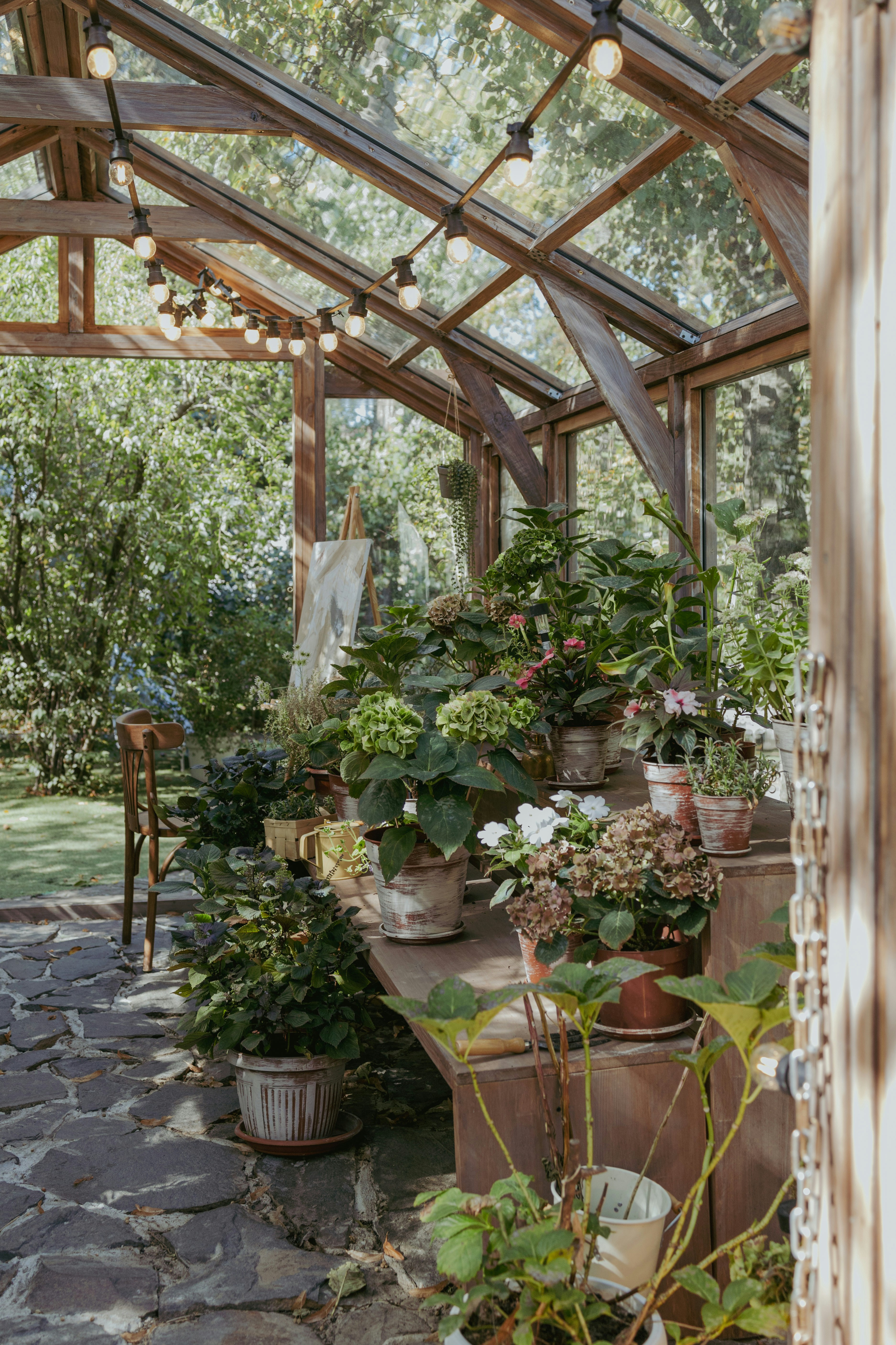 A bunch of potted plants in a greenhouse