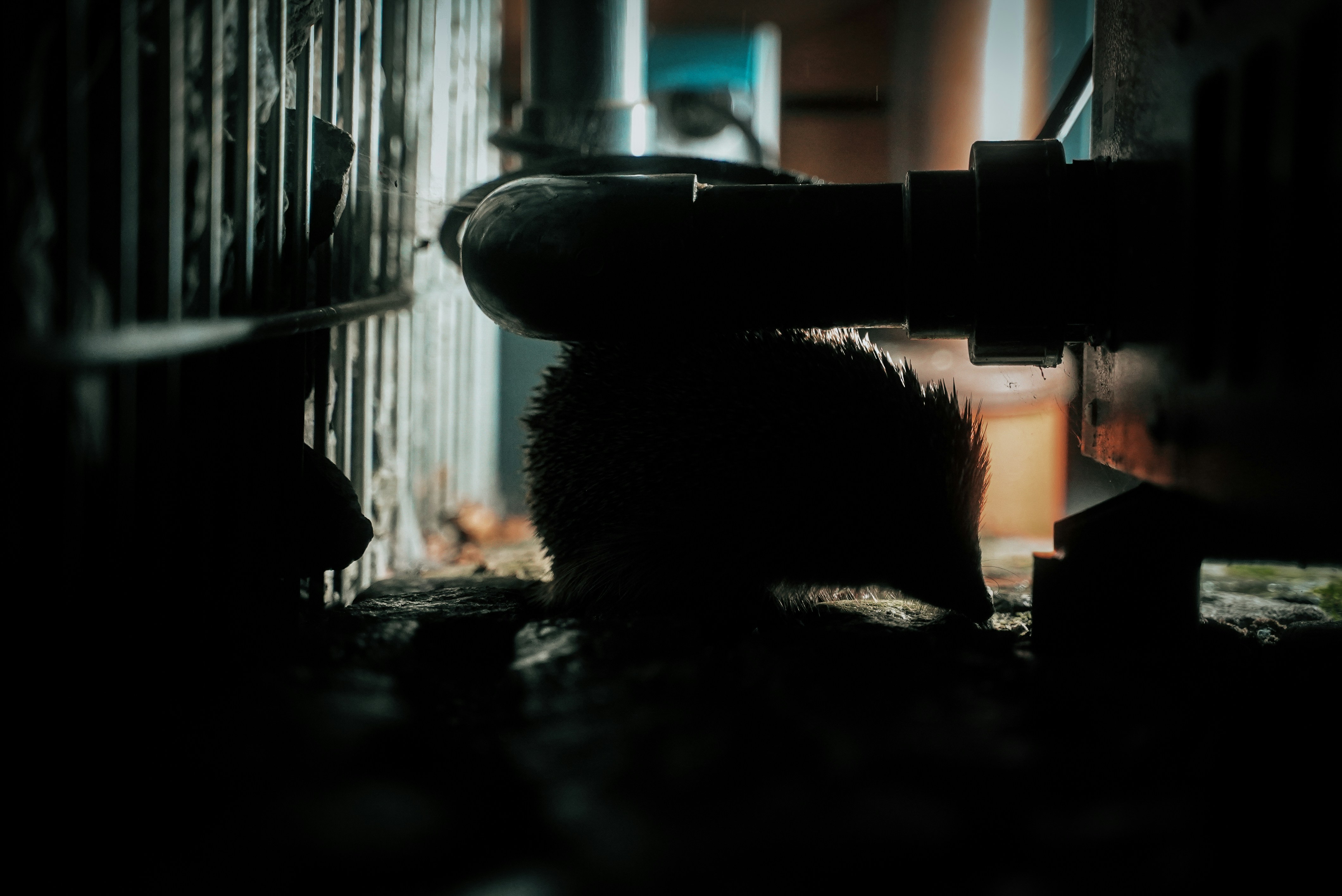 Photo by patrick_von_der_wehd