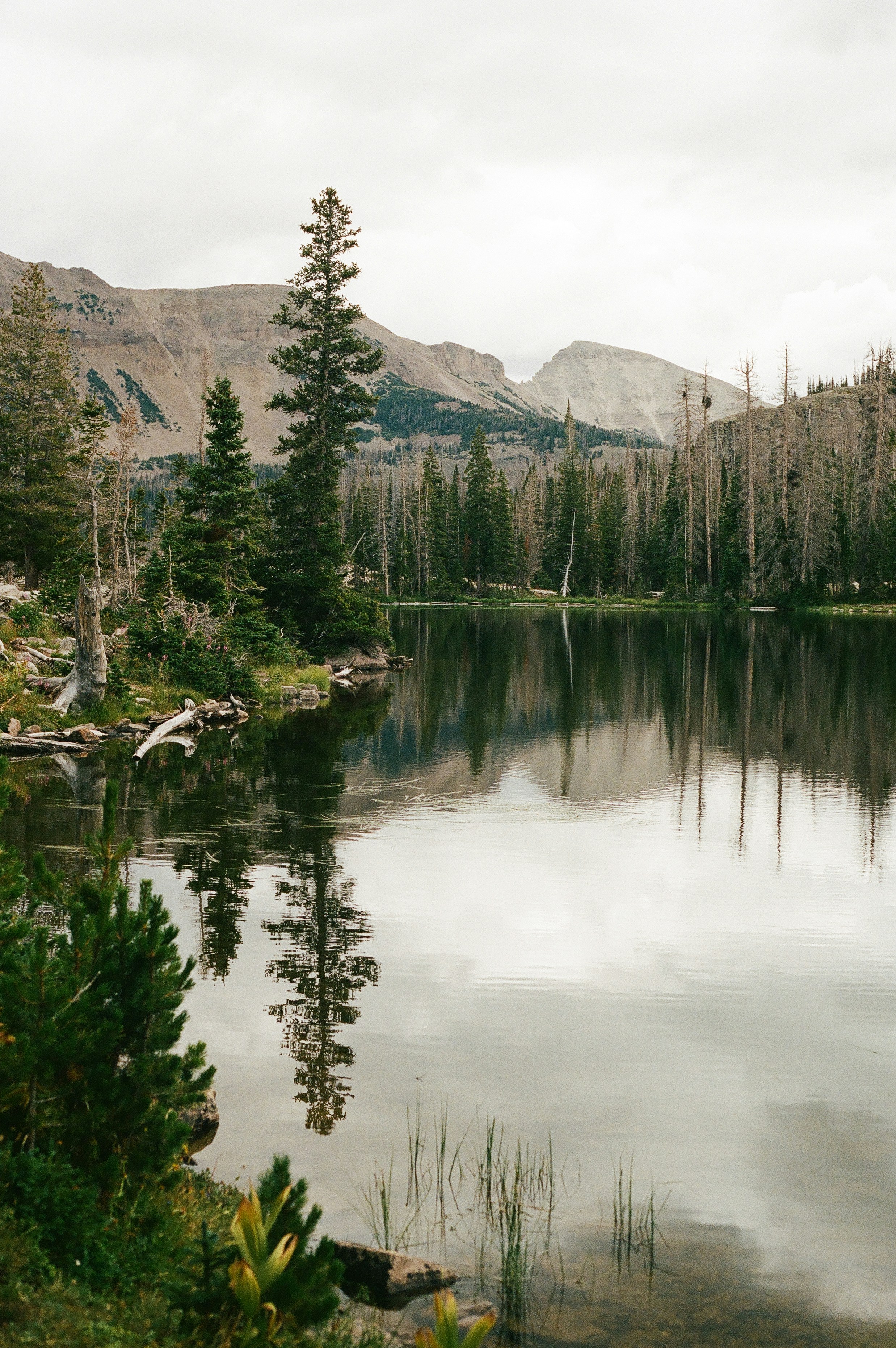 Photo by adammetcalf