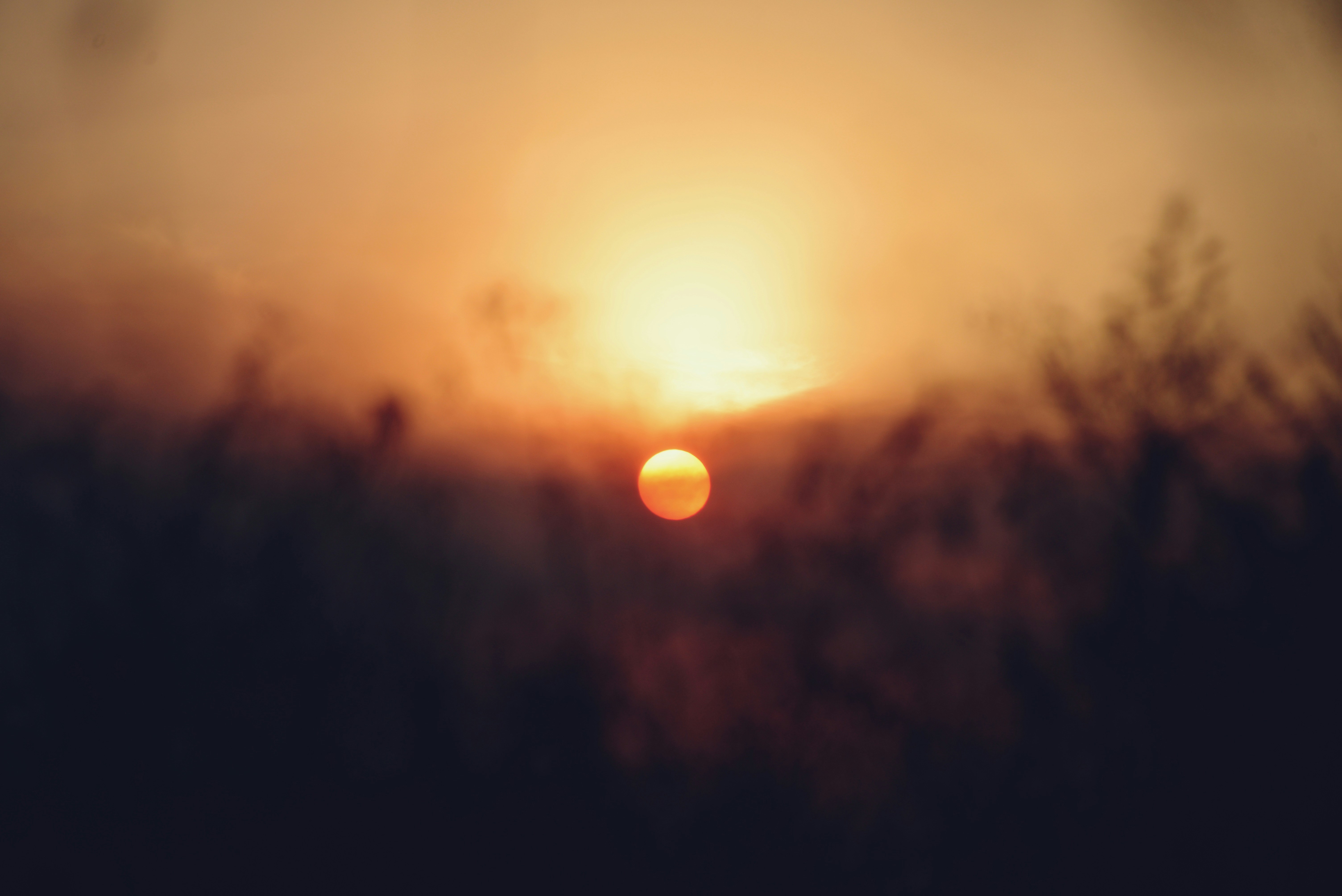 Photo by cherstve_pechivo