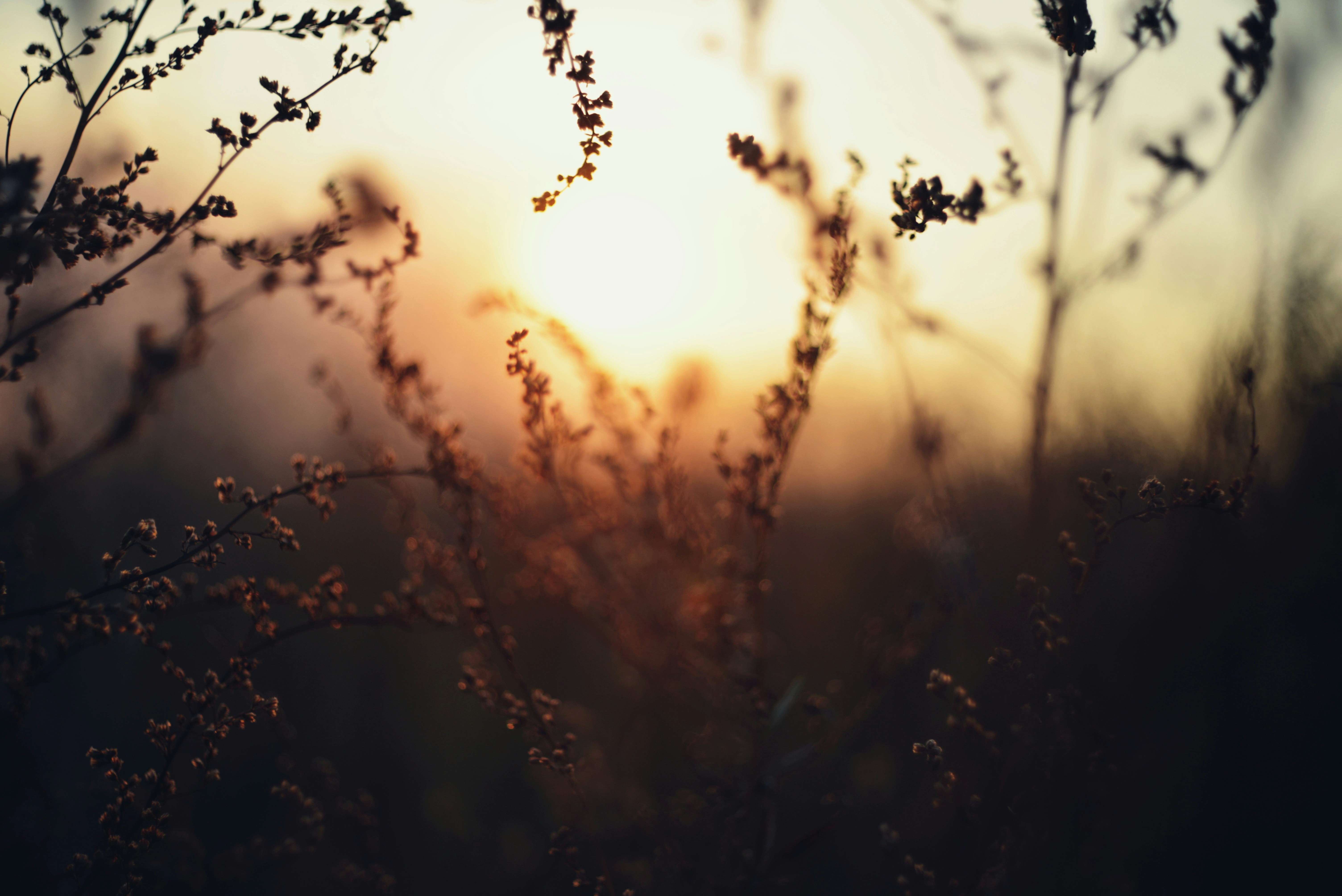 조합설립인가신청 민원사무 처리 방법