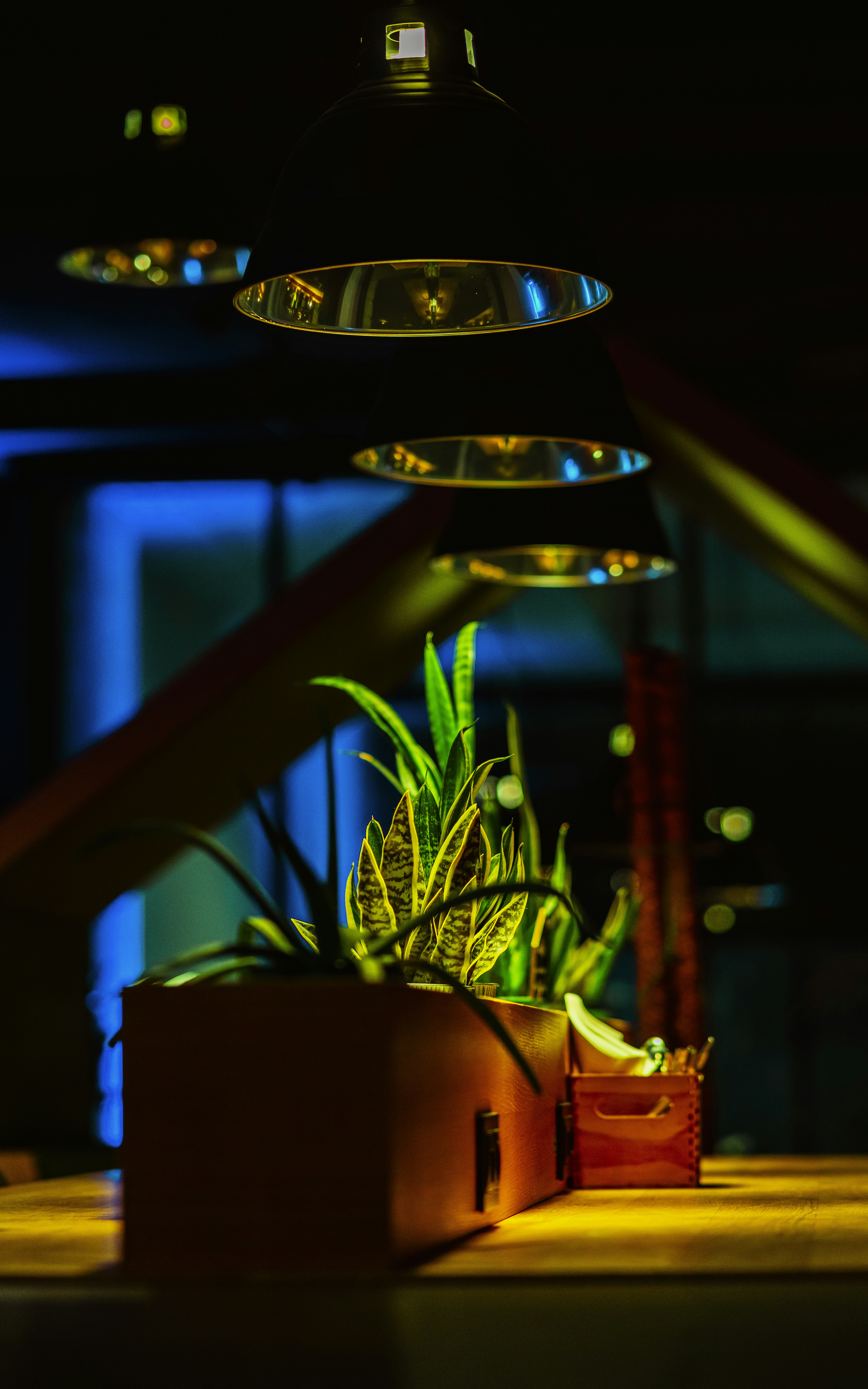 A potted plant sitting on top of a wooden table