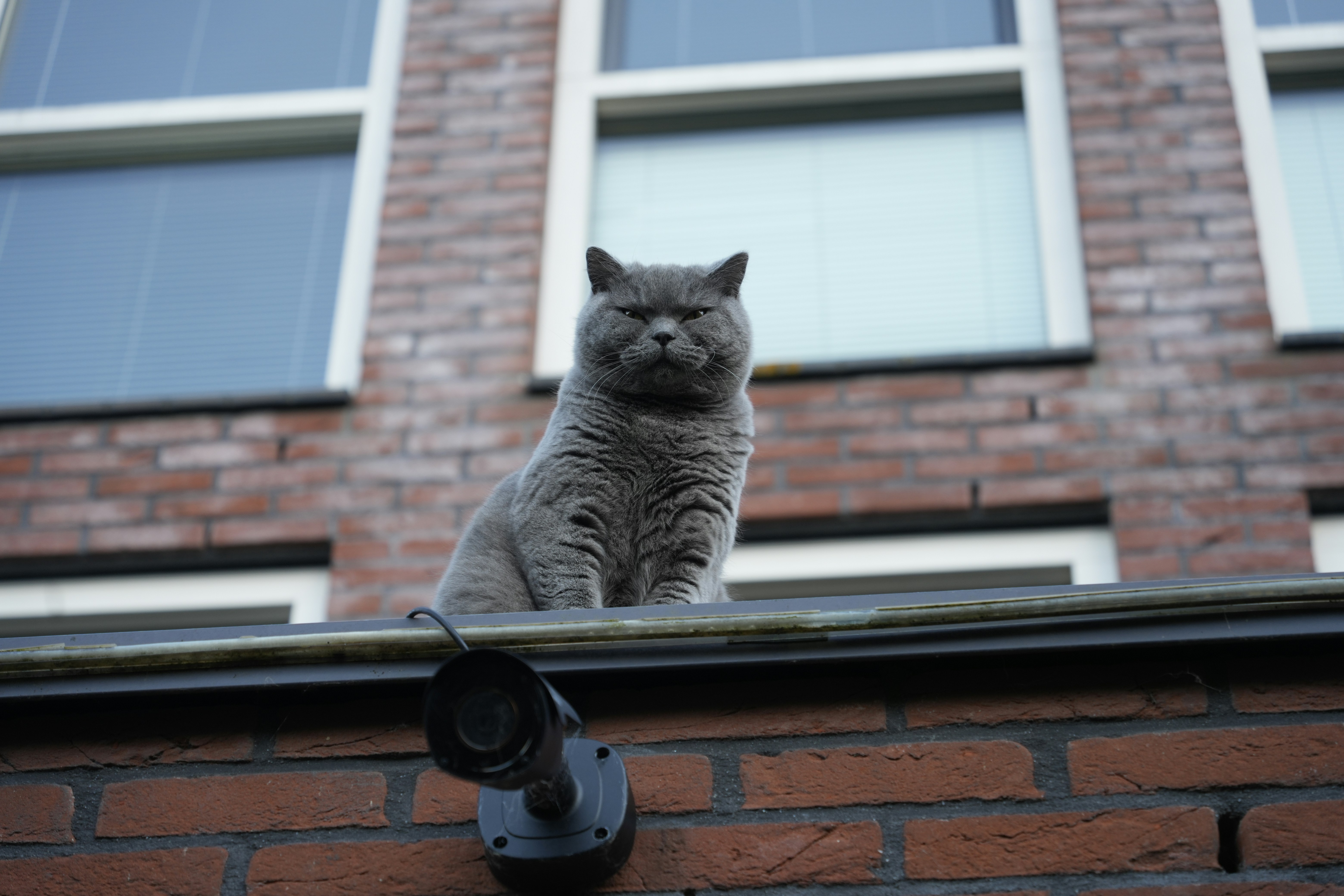 Photo by oscarfickel3