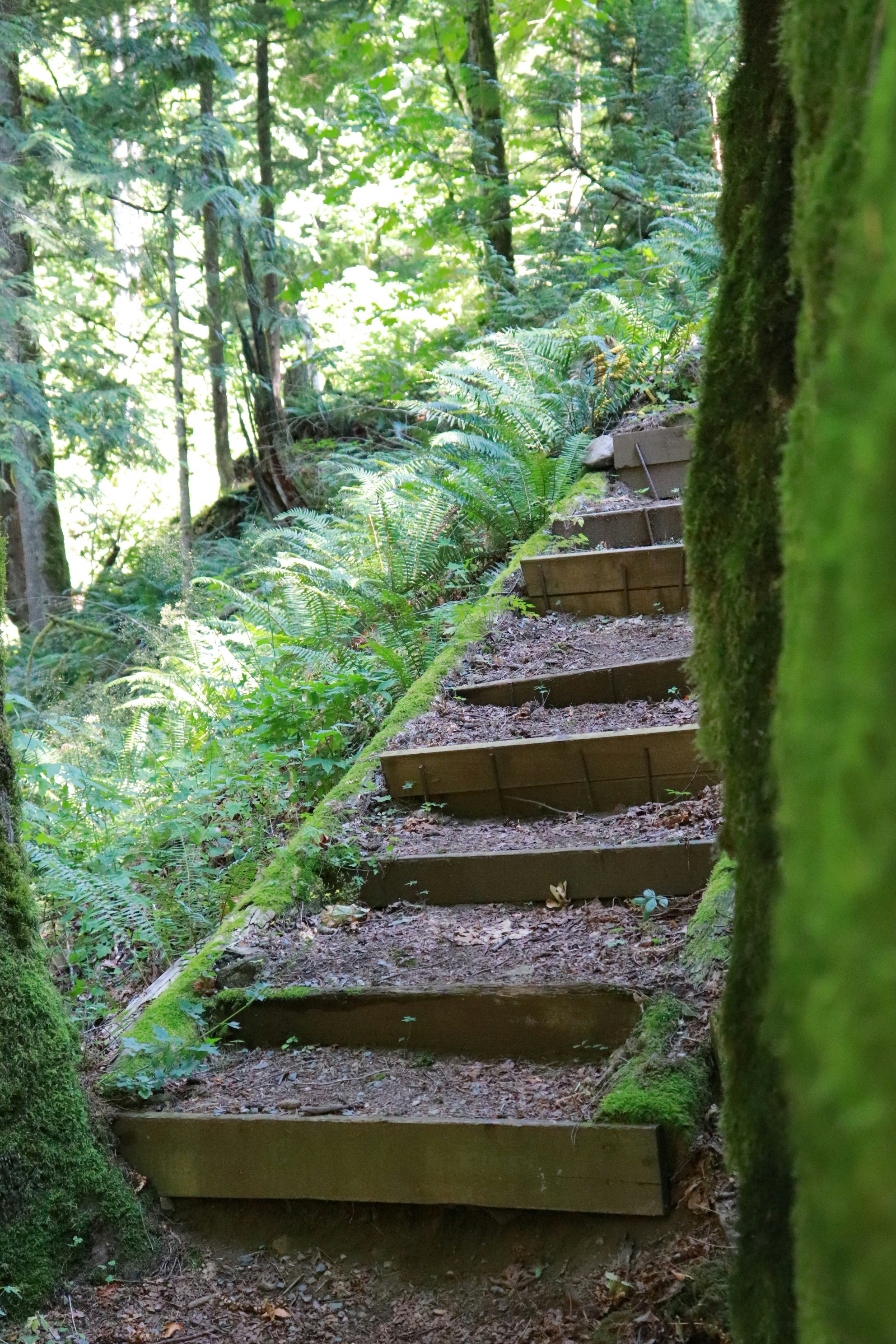 Photo by canyonswartz