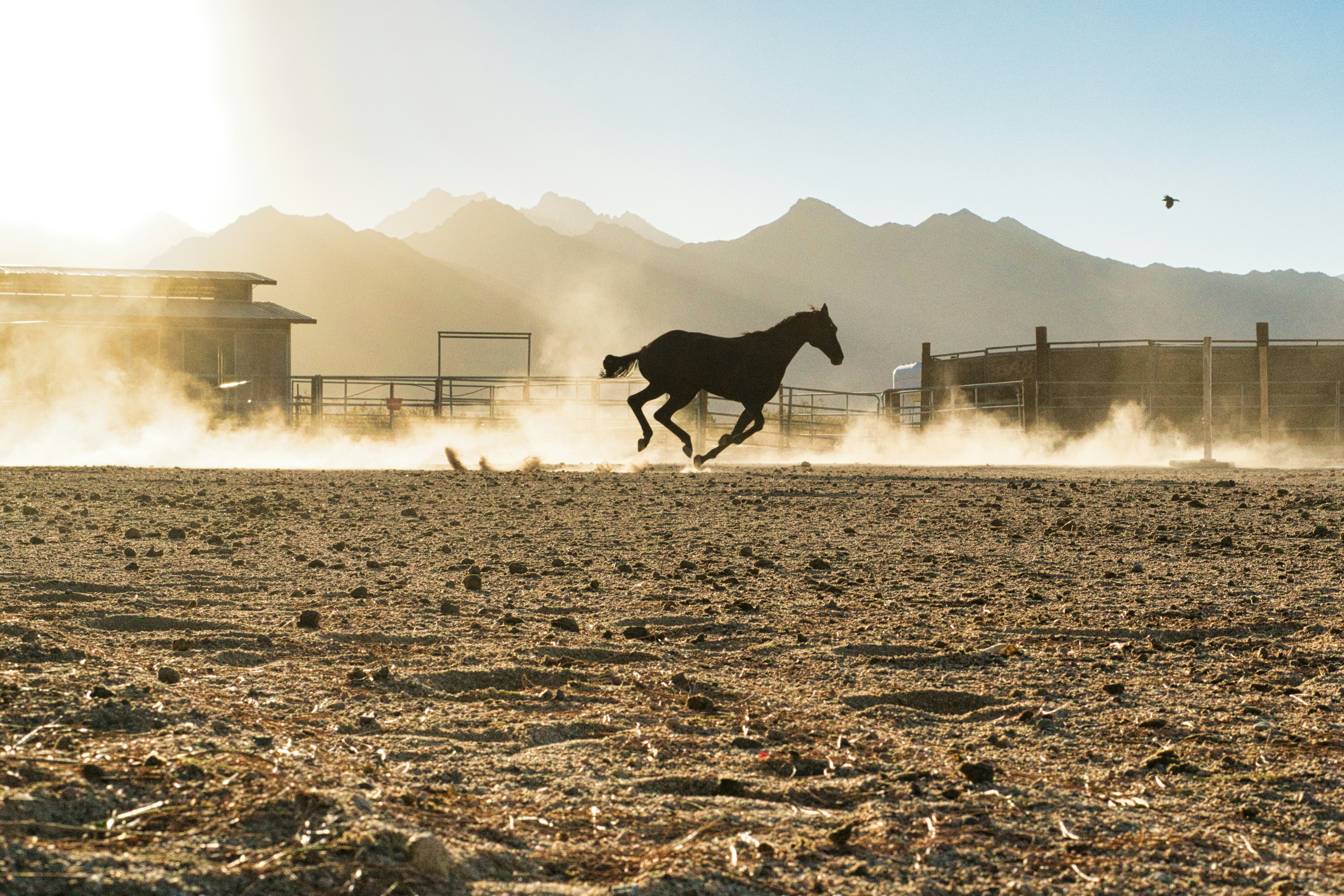 Photo by brianwangenheim