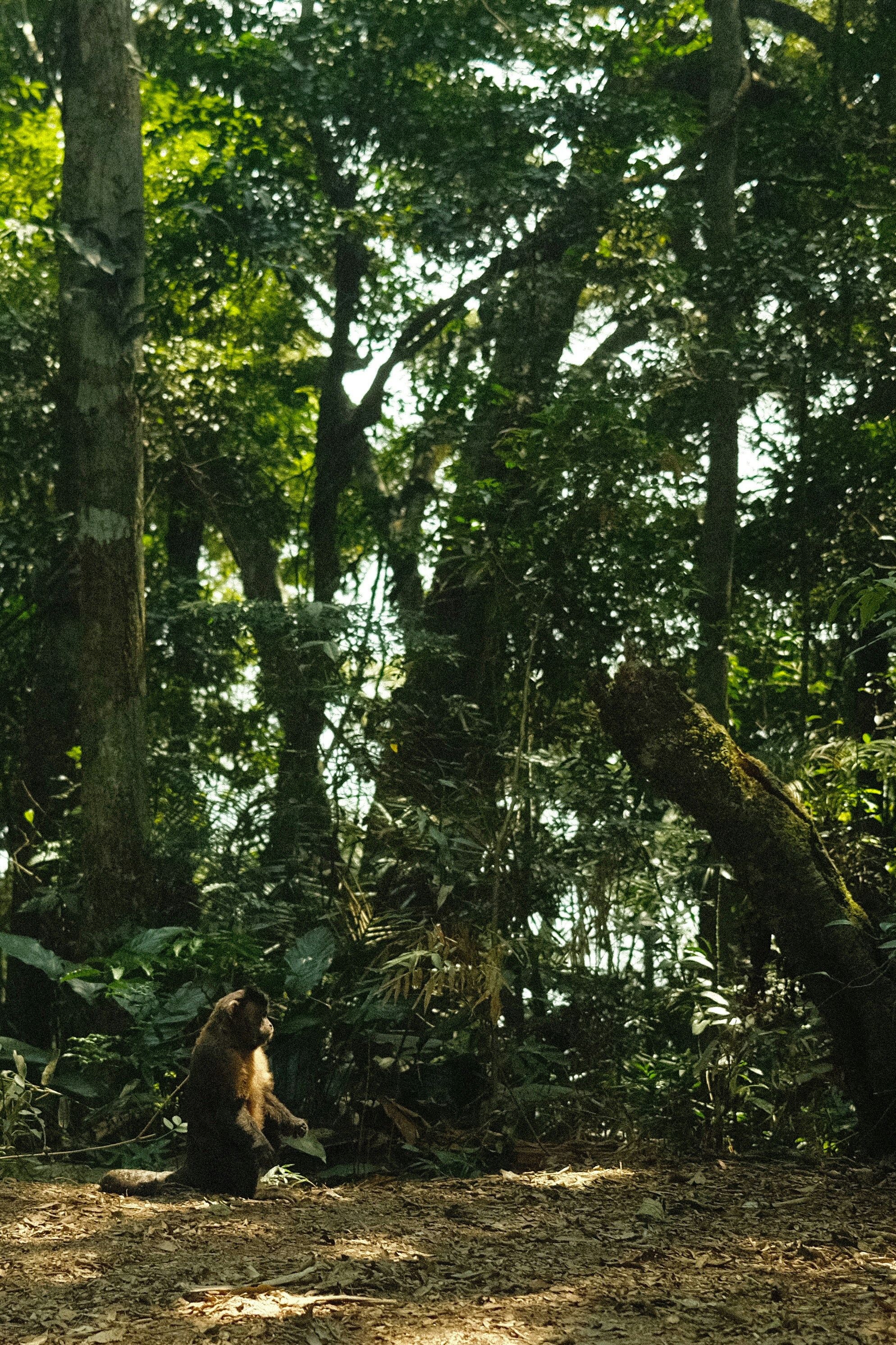 Photo by hugo_cornuel