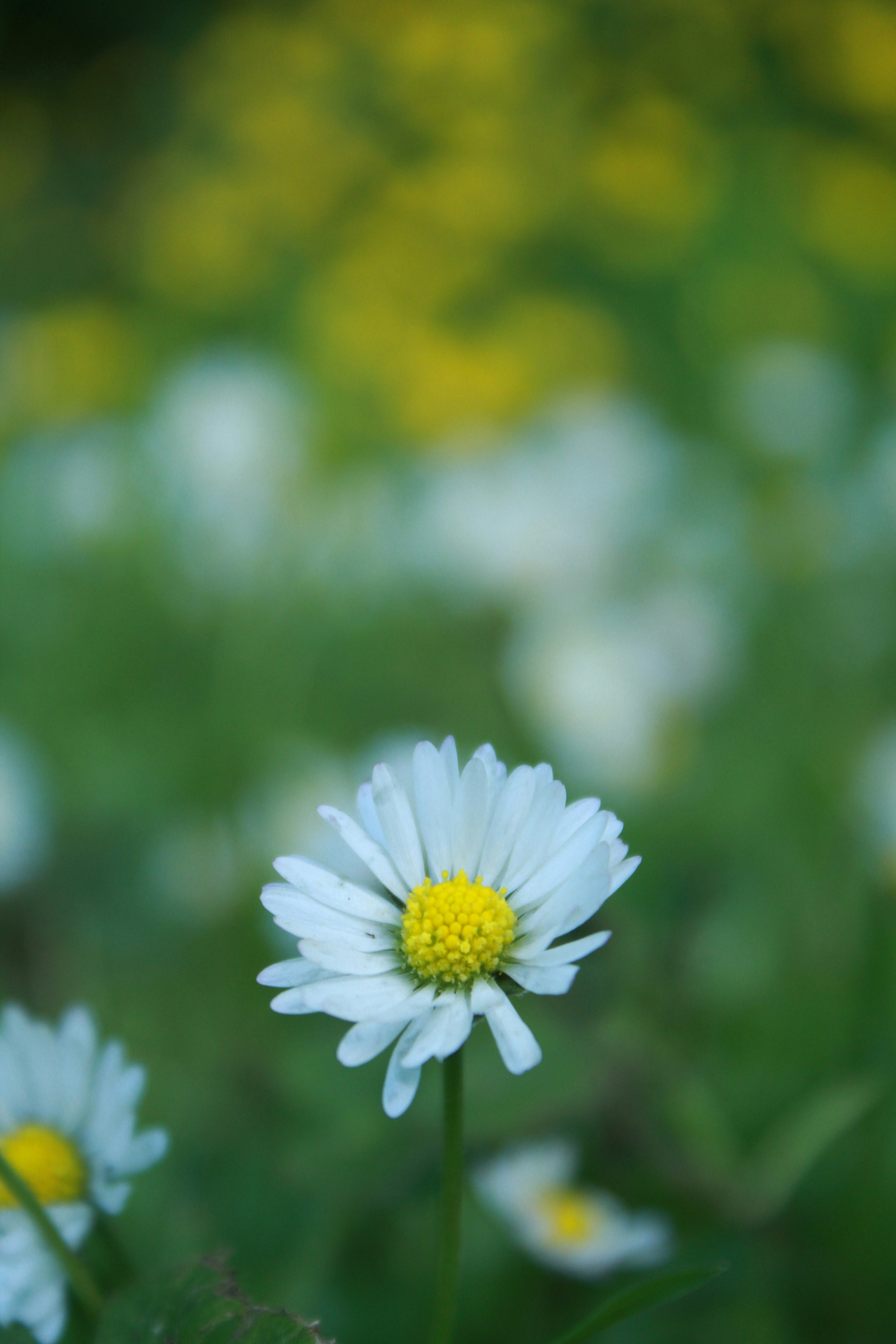 Photo by _jrsimina23