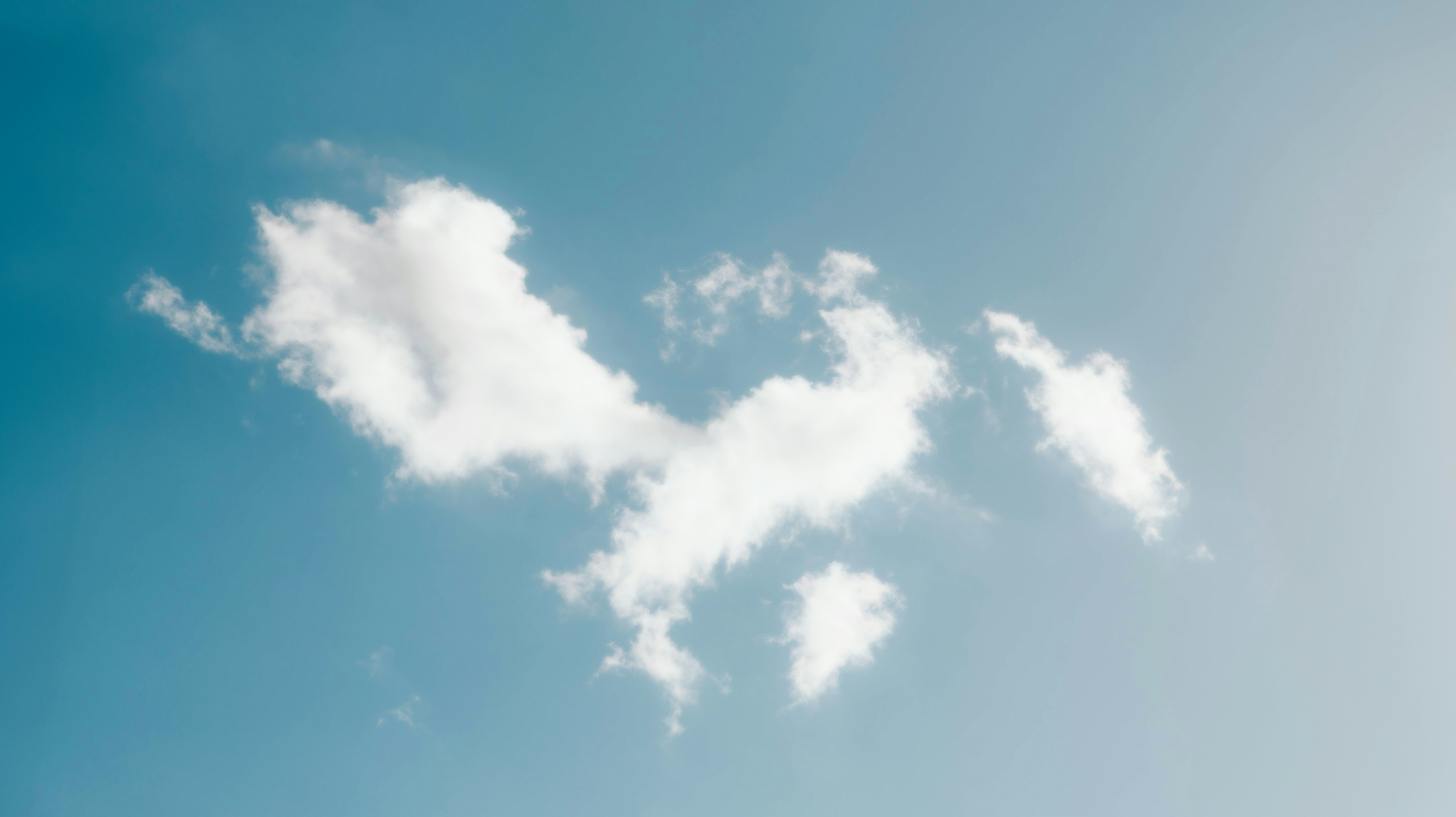 Photo by alingavriliuc